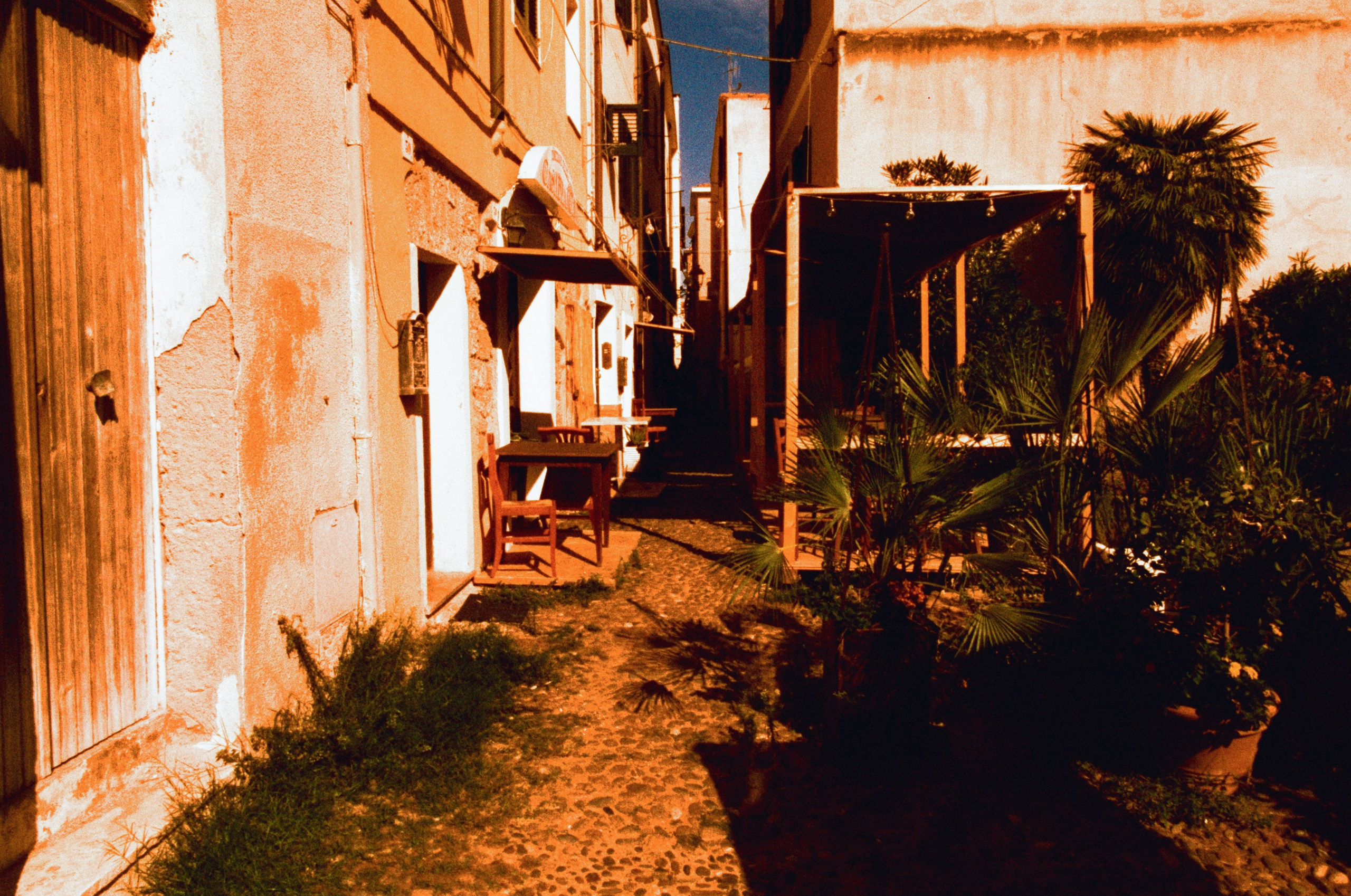 Moriro da re // sardinia, alghero. EVER EXPOSED