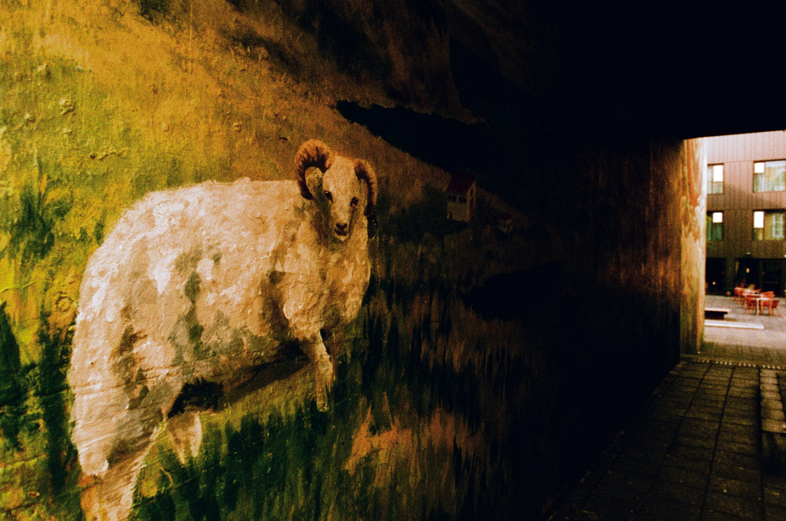 Run no more // iceland, reykjavik III. EVER EXPOSED