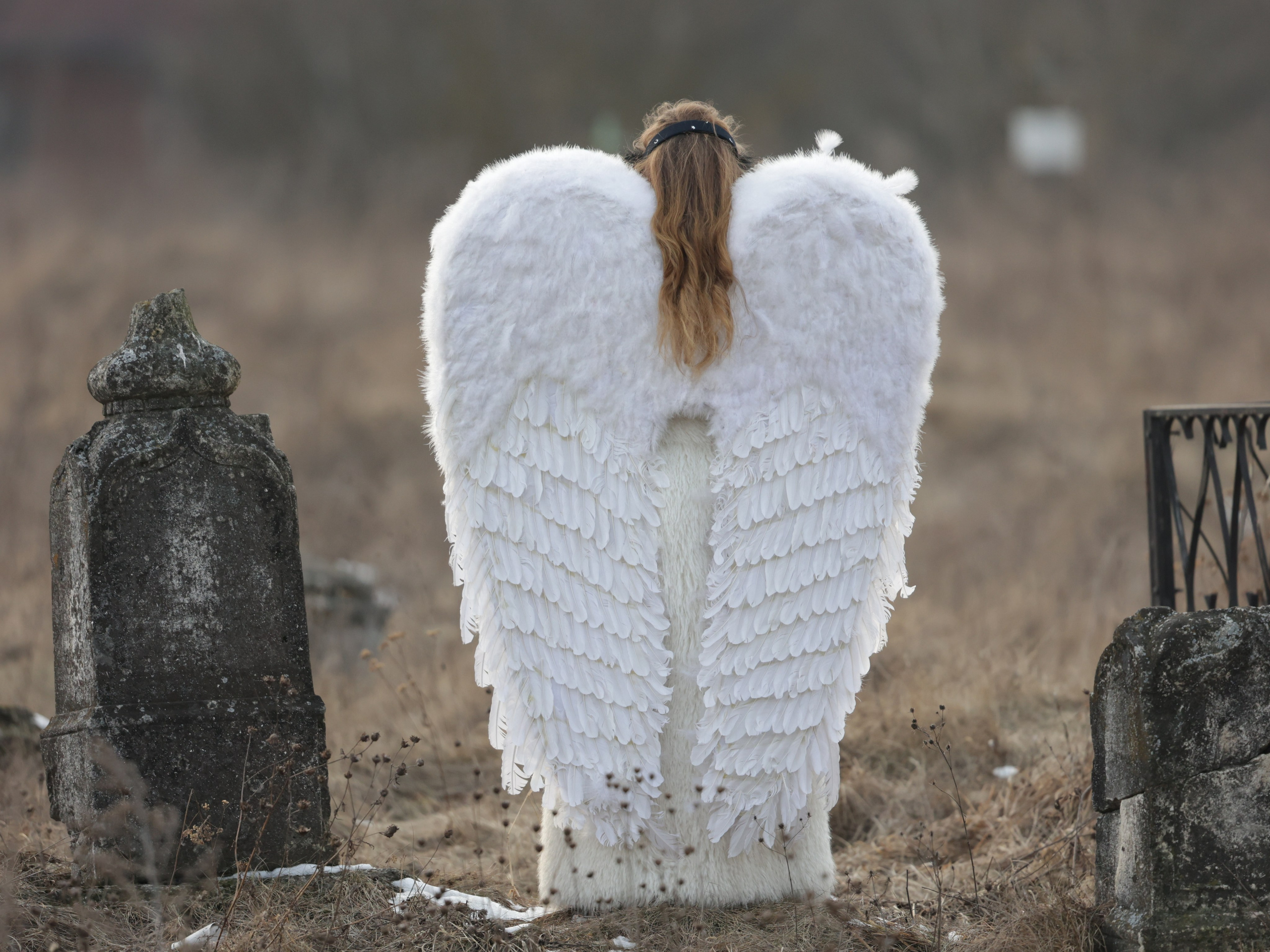 Карнавальные костюмы, крылья в прокат аренда в Жуковском . Крылья ангела, Малифисента. Черные и белые крылья. Фотограф для маркетплейсов, фотоуслуги в Жуковском Татьяна Марсуверских