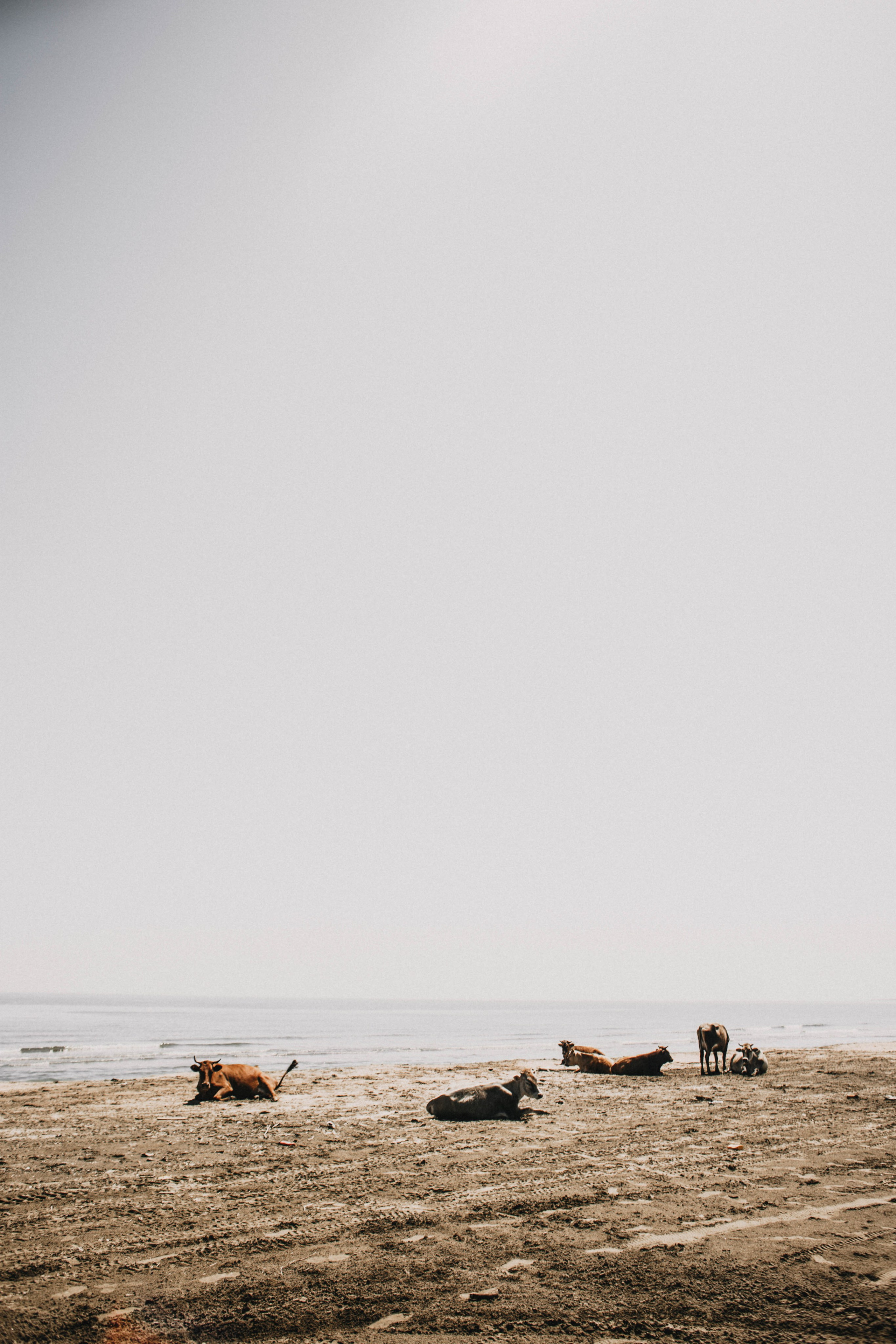 Дагестан. Чечня. 2024. Фотограф в Нижнем Новгороде