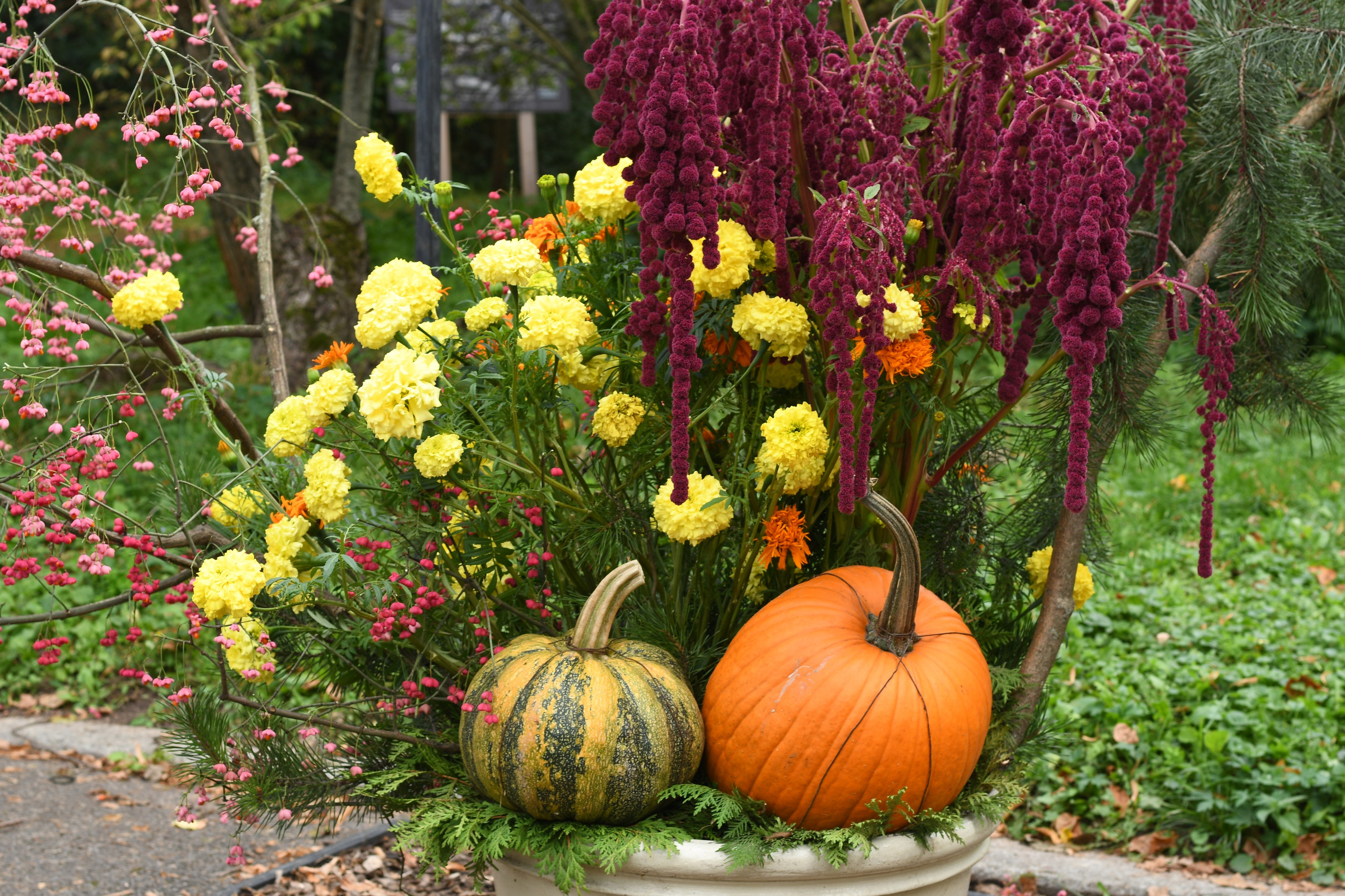 Репортажная фотосъёмка. АЛИНА СНИМАЕТ