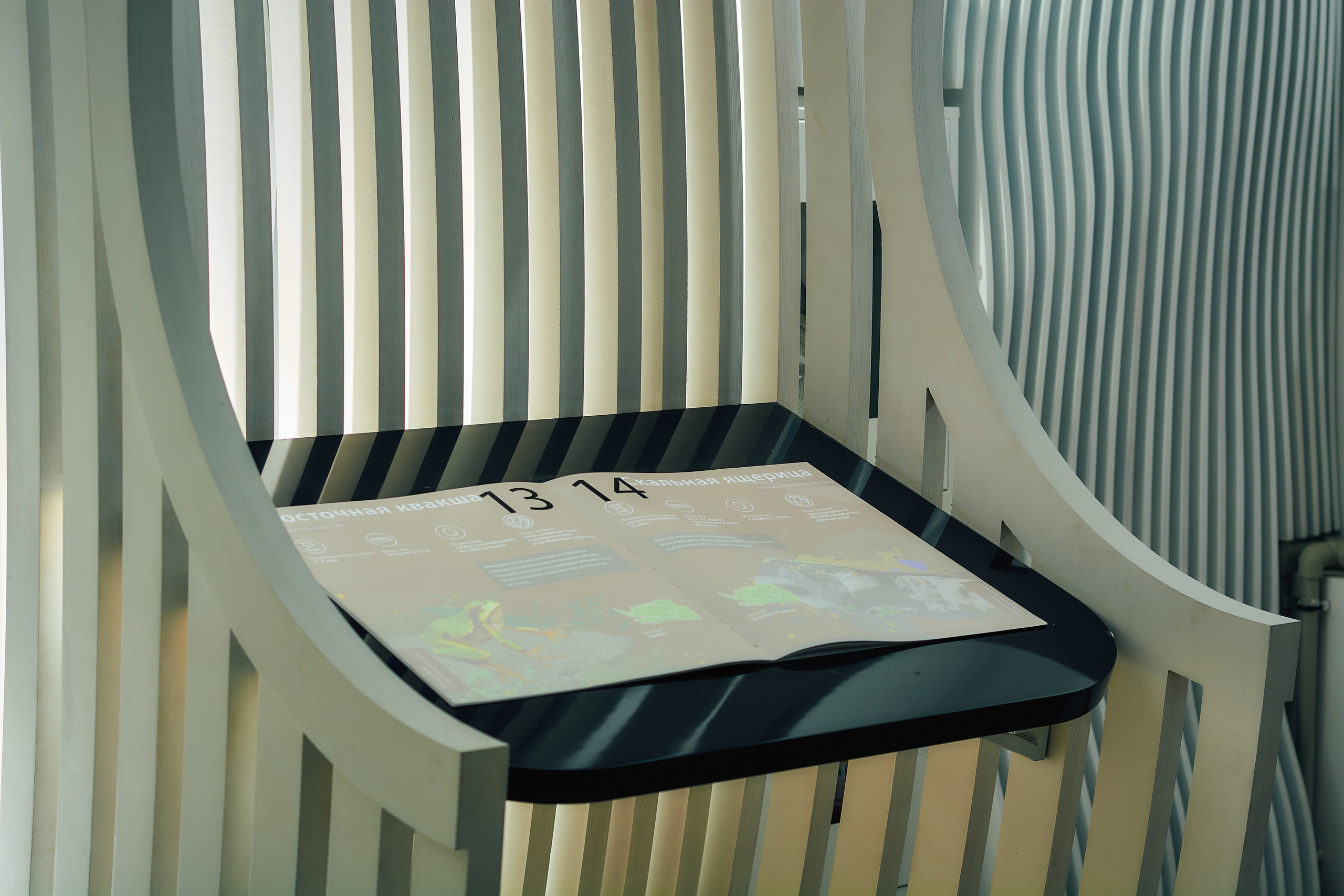 Интерьерная съемка Визит-центр Национальный парк «Кисловодский». Константин Кордонский | Интерьерный и food-фотограф в Кисловодске и КМВ