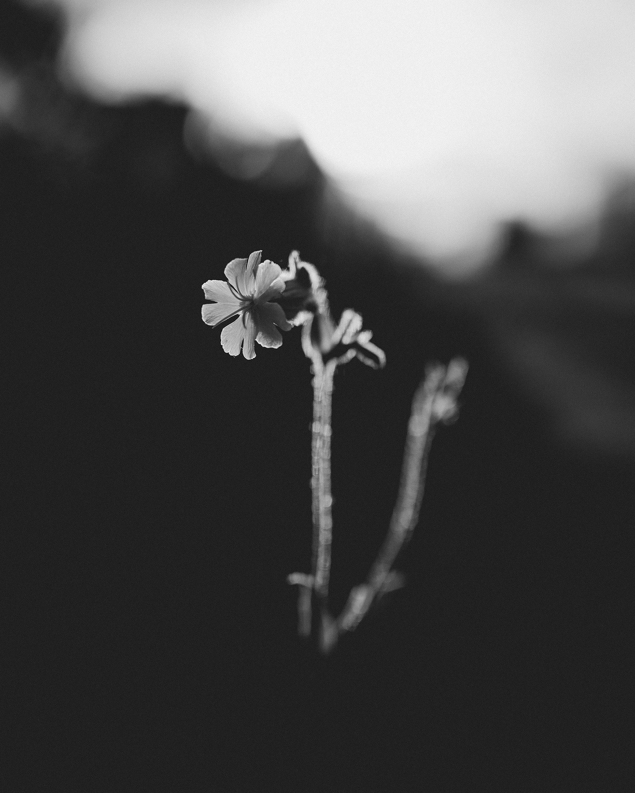 В лесу. Фотограф Владимир Орлов