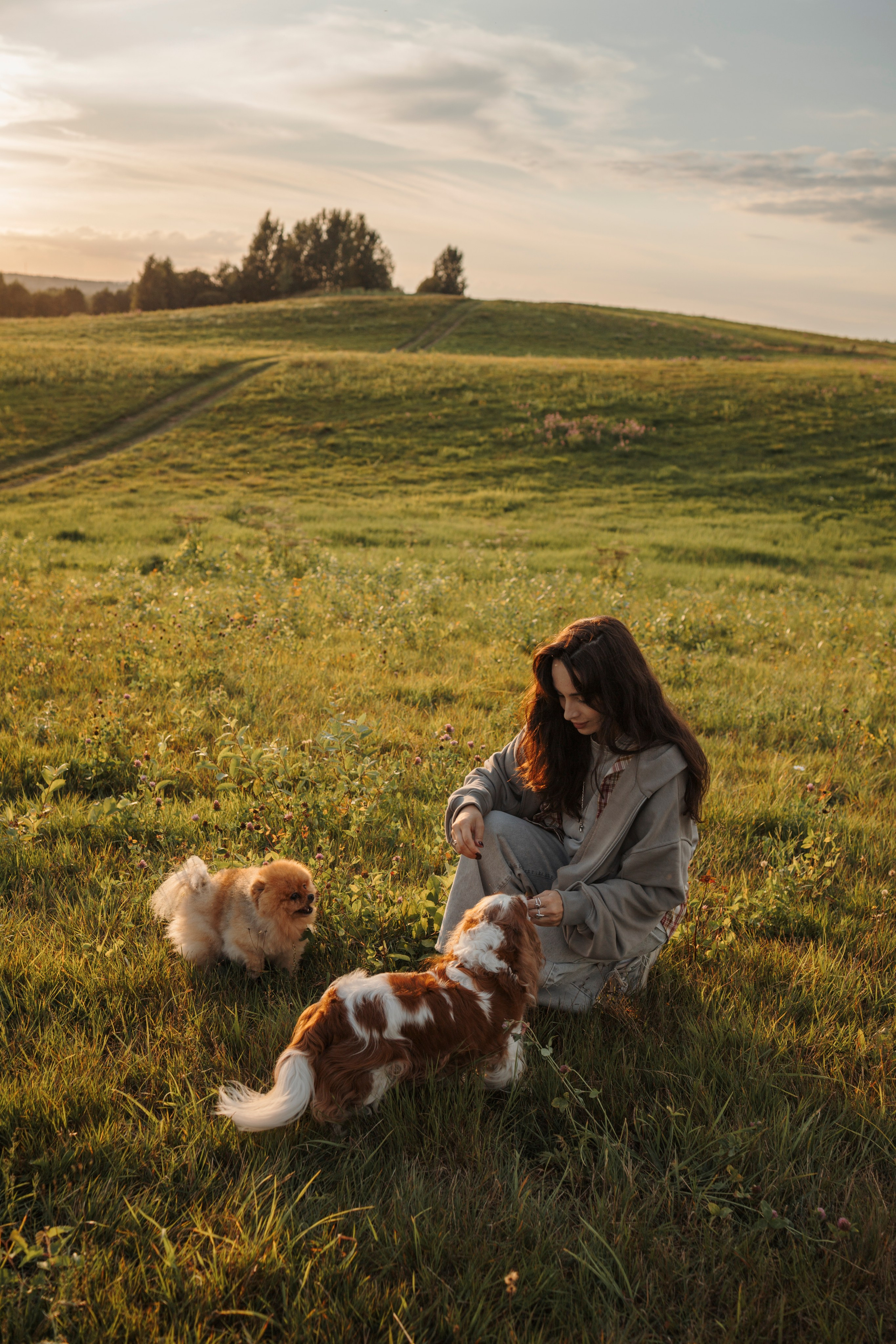 На закате Катерина, Луна и Рикки. Фотограф-анималист в Санкт-Петеребурге Титова Алиса