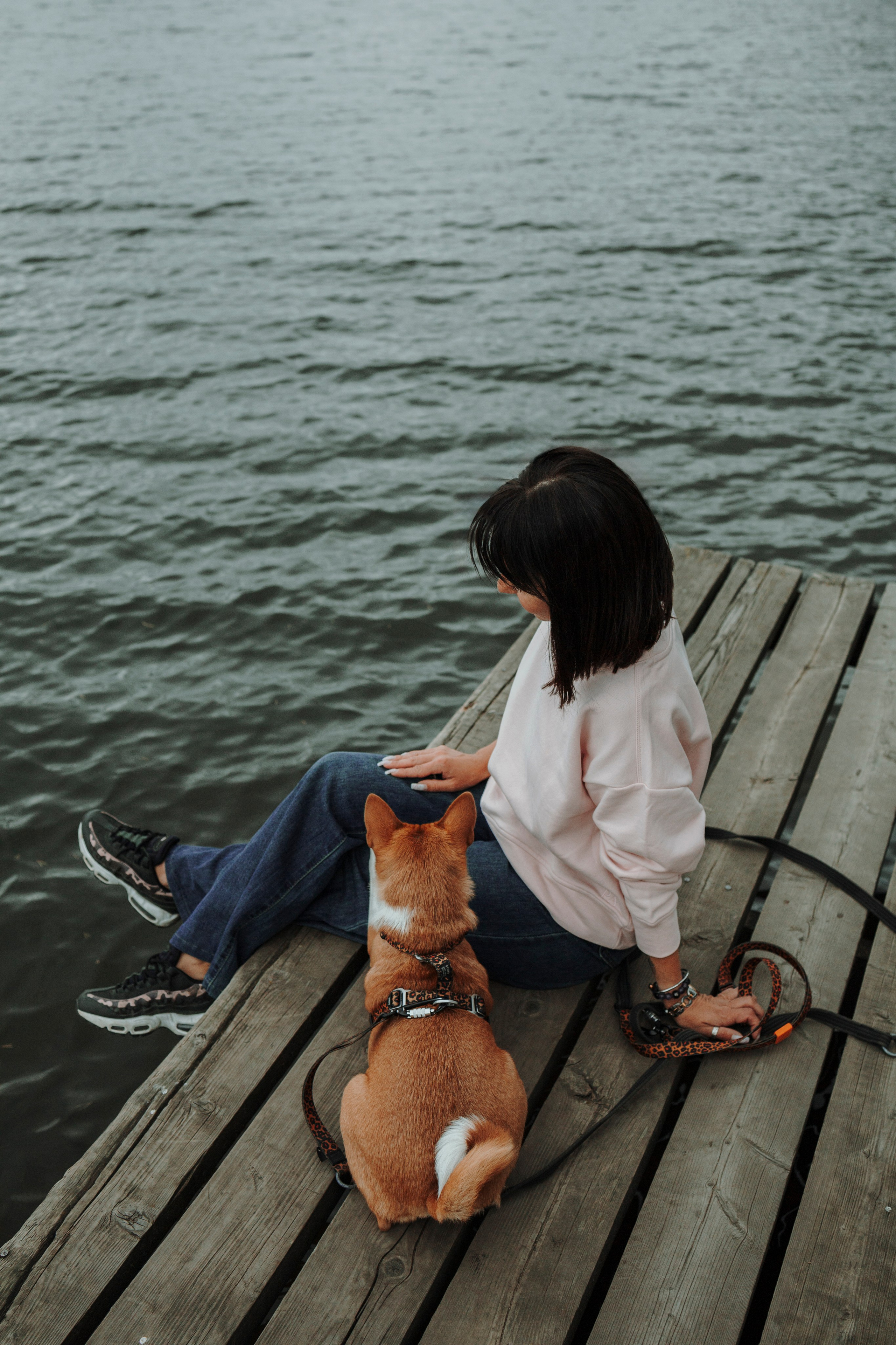 Даша и Лора. Фотограф-анималист в Санкт-Петеребурге Титова Алиса