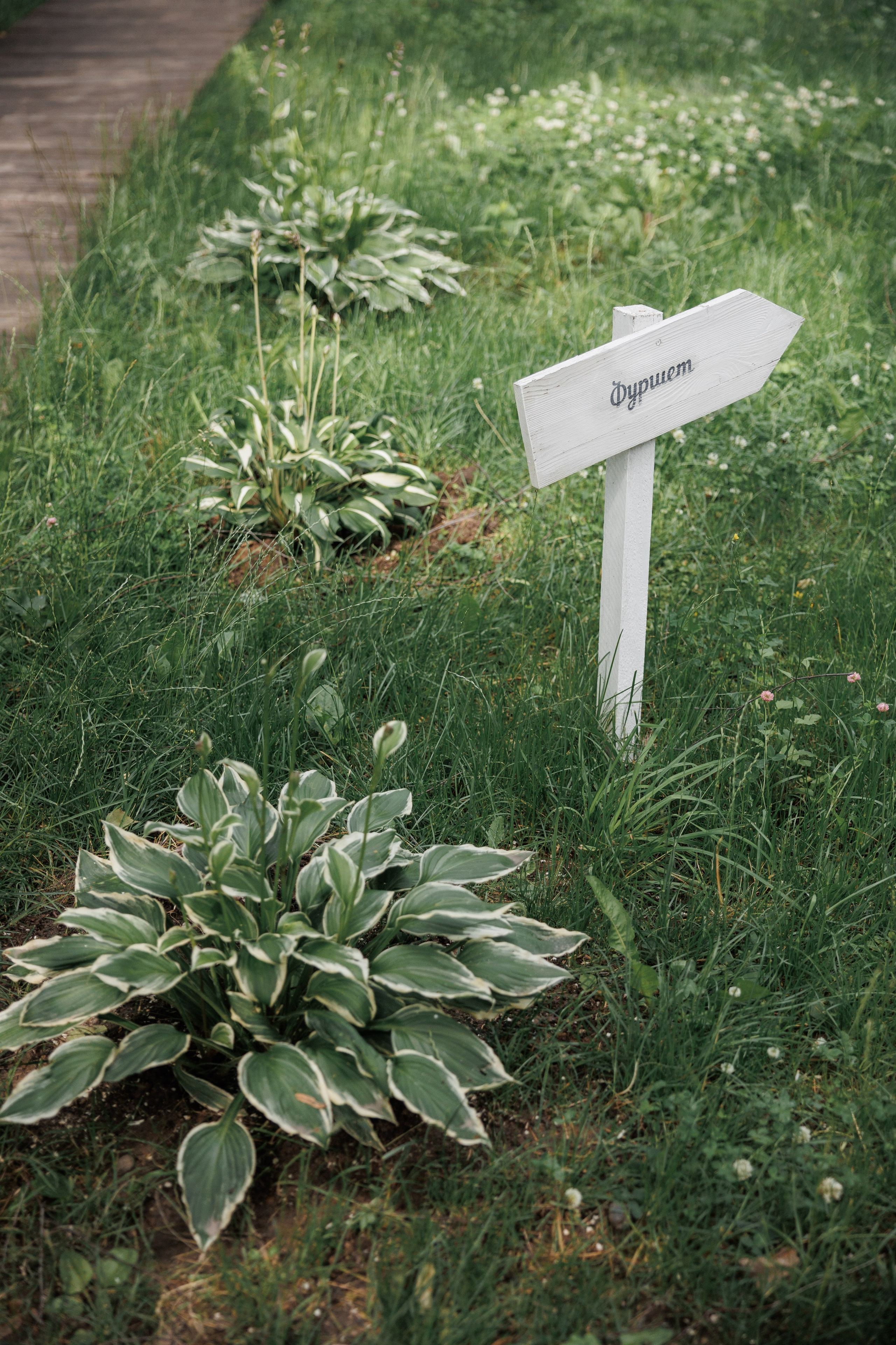 Александр и Марина, Усадьба «Лесной берег». Свадебный и репортажный фотограф (Москва, Королев и другие)