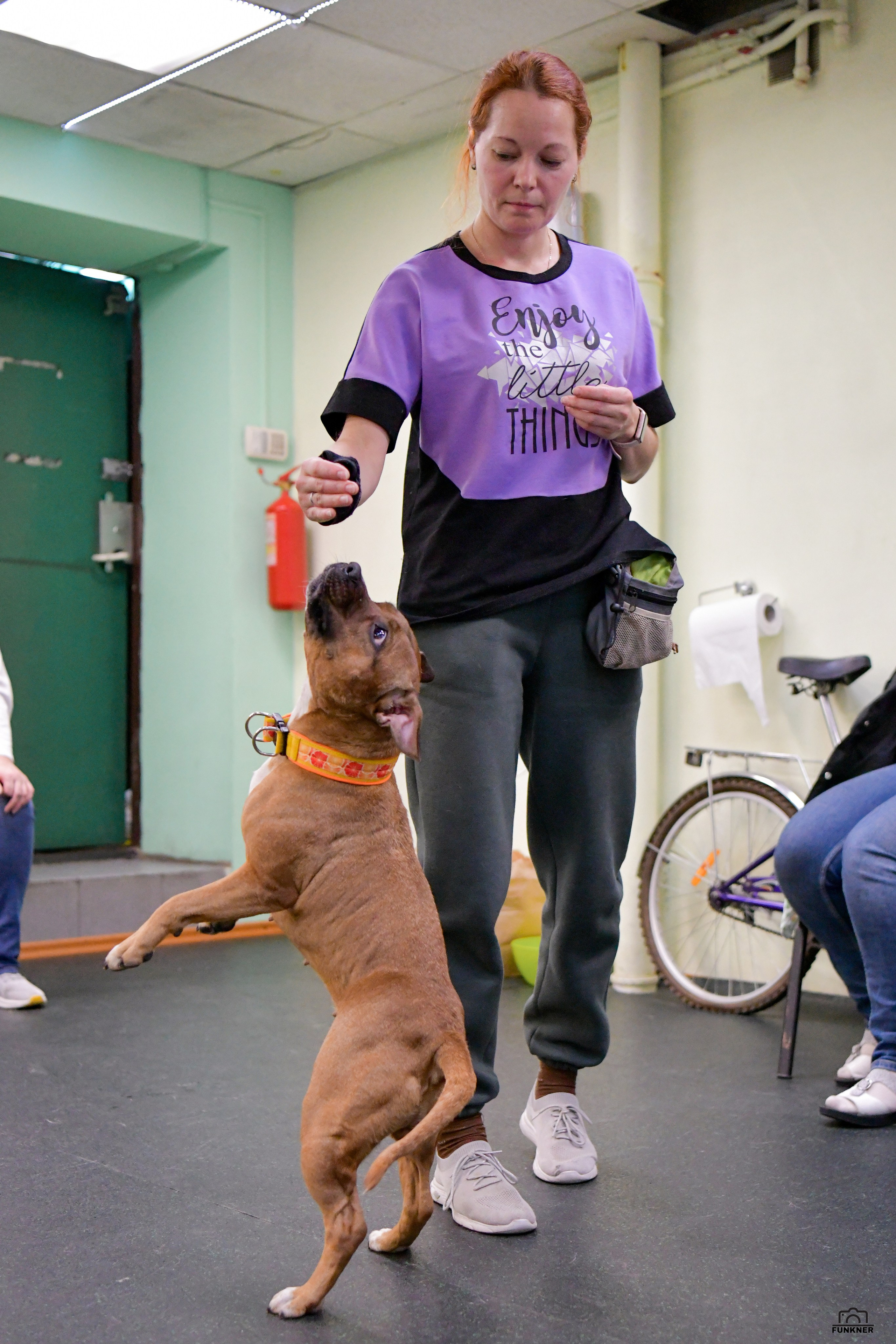 Кинологический клуб «Бодрый хвост». Свой взгляд через объектив