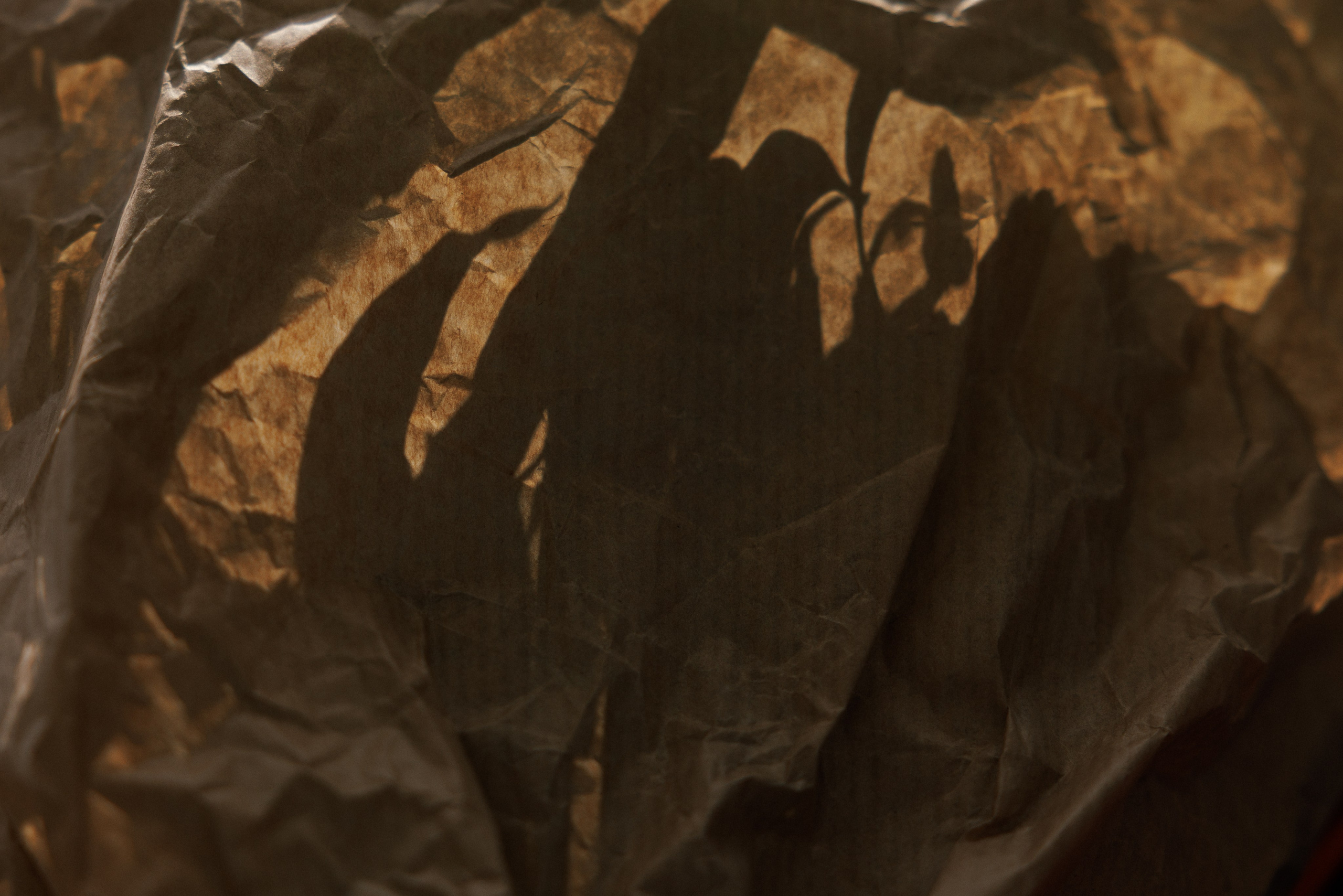 Марина & Лёша. Свадебный и семейный фотограф в Твери, Москве, Санкт-Петербурге