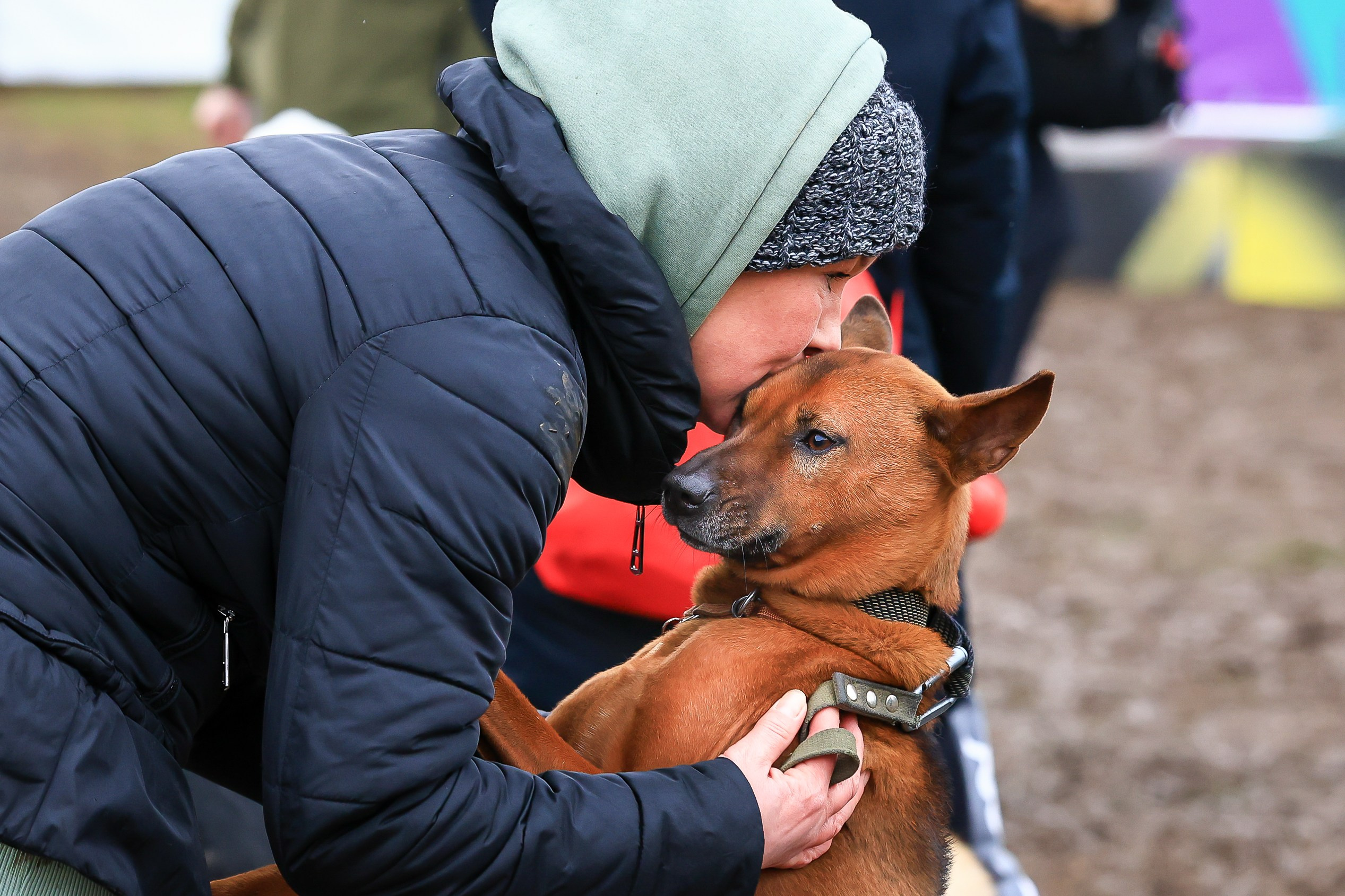 Быстрый Пёс!. Свадебная фотосъёмка в Москве, Туле