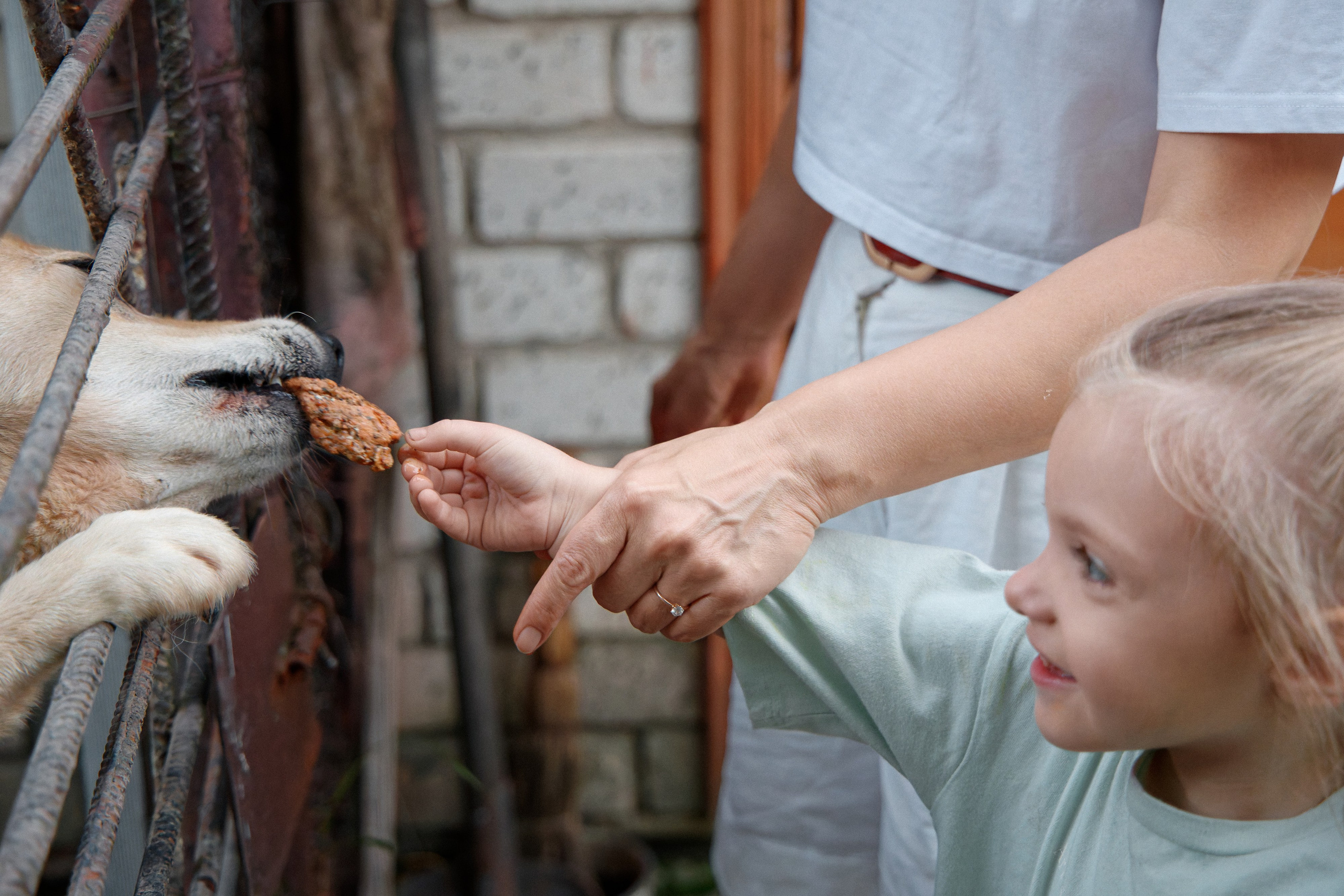 Семья Даниловых. Семейный фотограф — Макс Белогрудов