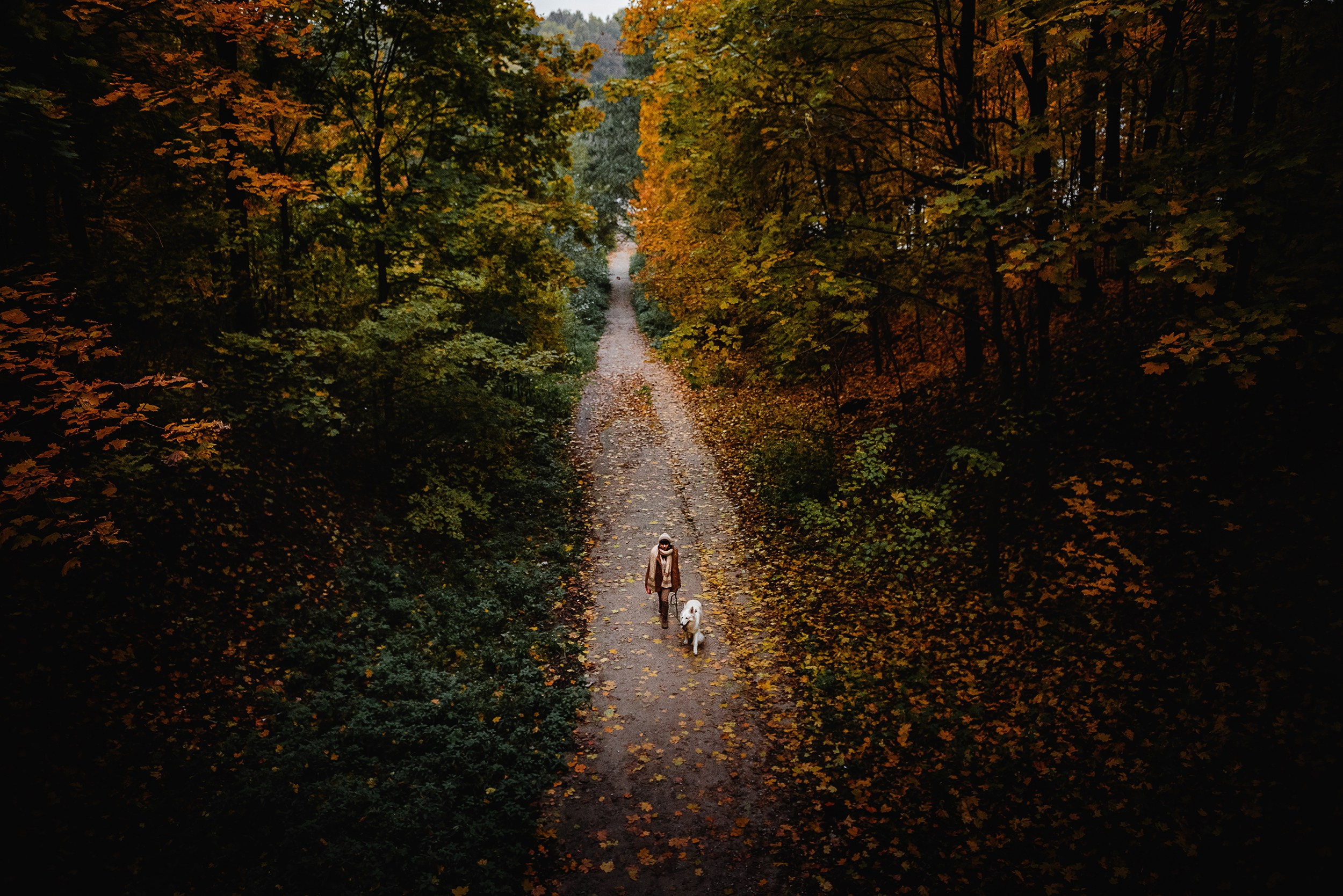Катя и Джек. Семейный Фотограф в Москве Ирина Хохлова
