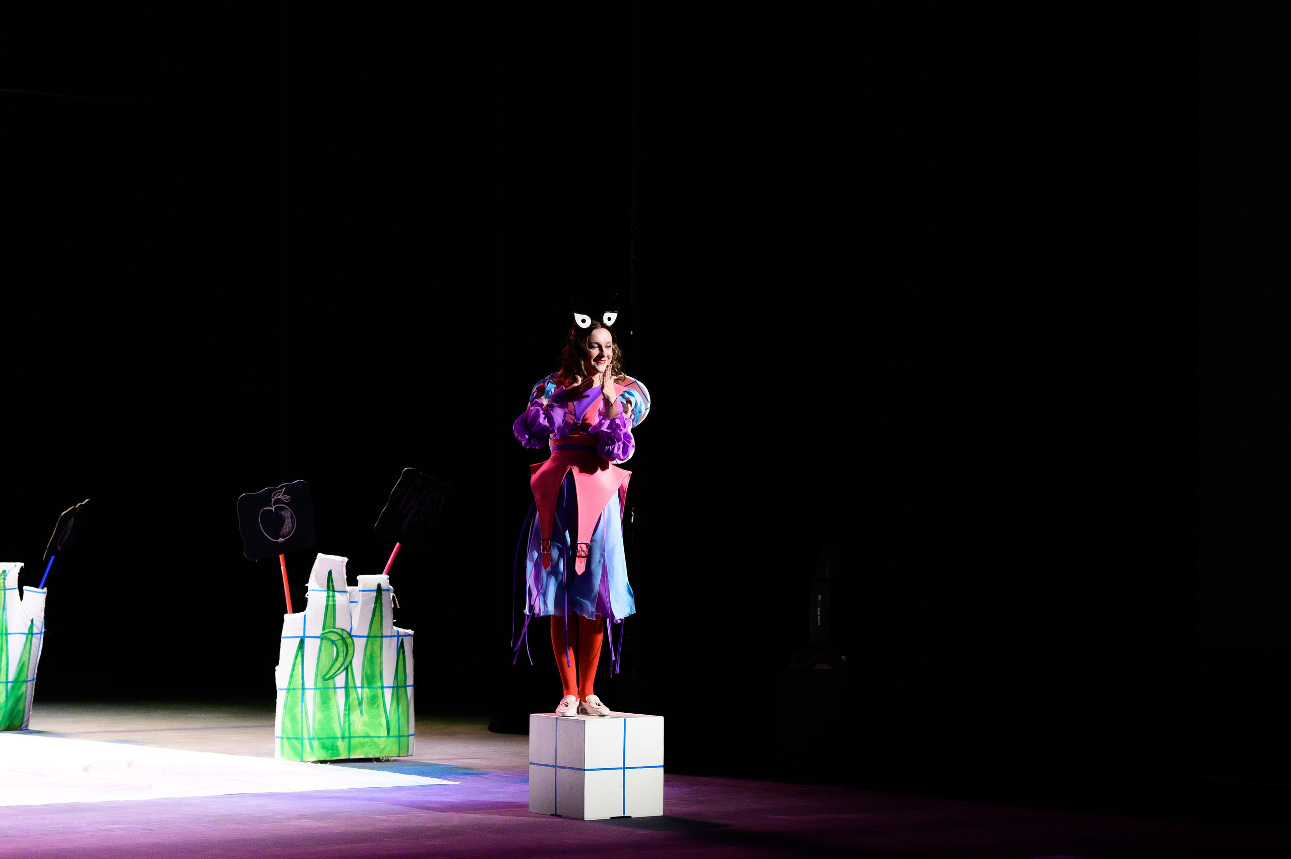 Муха Цокотуха. Фотоуслуги, услуги фотографа, фотографирование важных событий