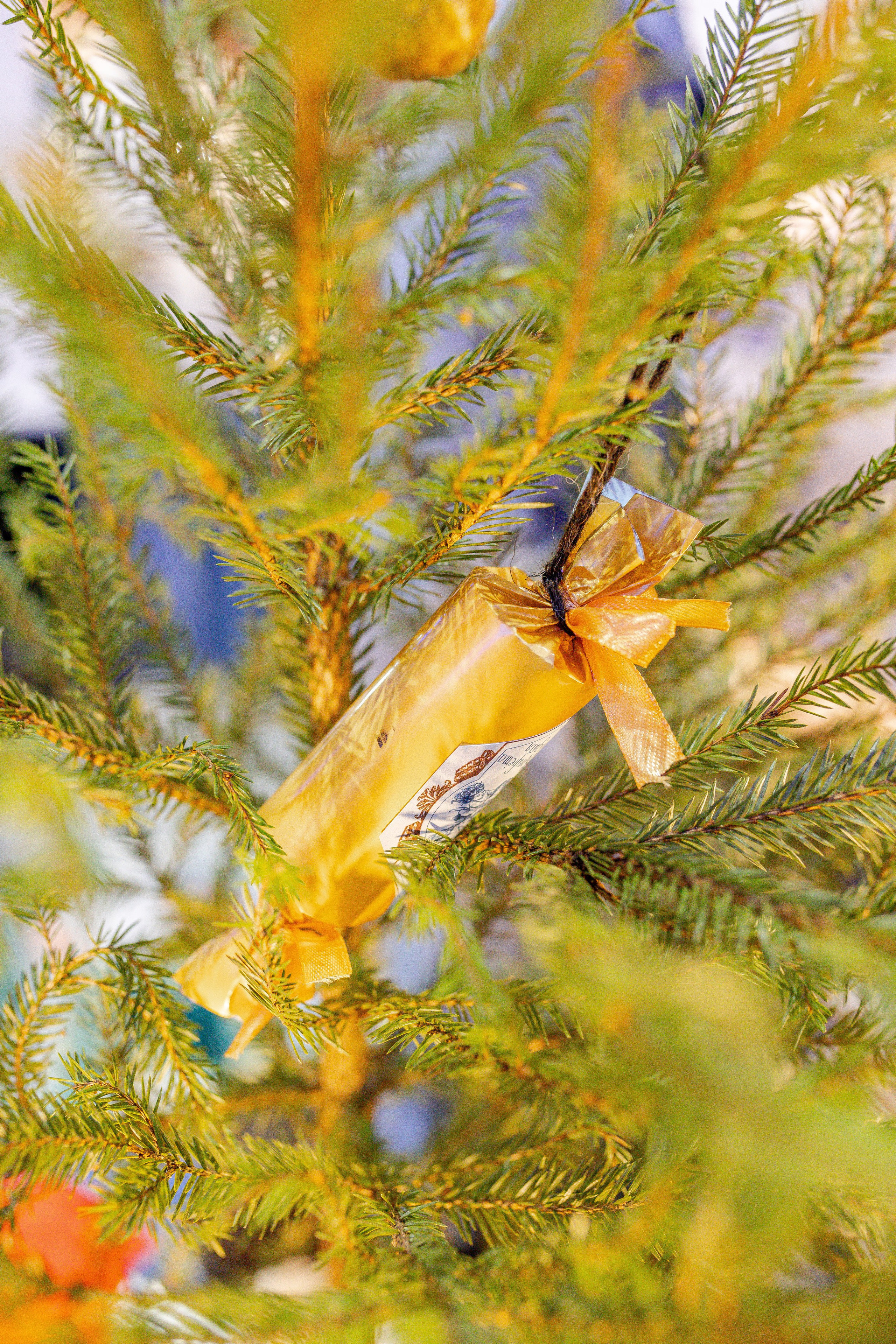 ART FLECTION. Александра Куликова фотограф, Москва