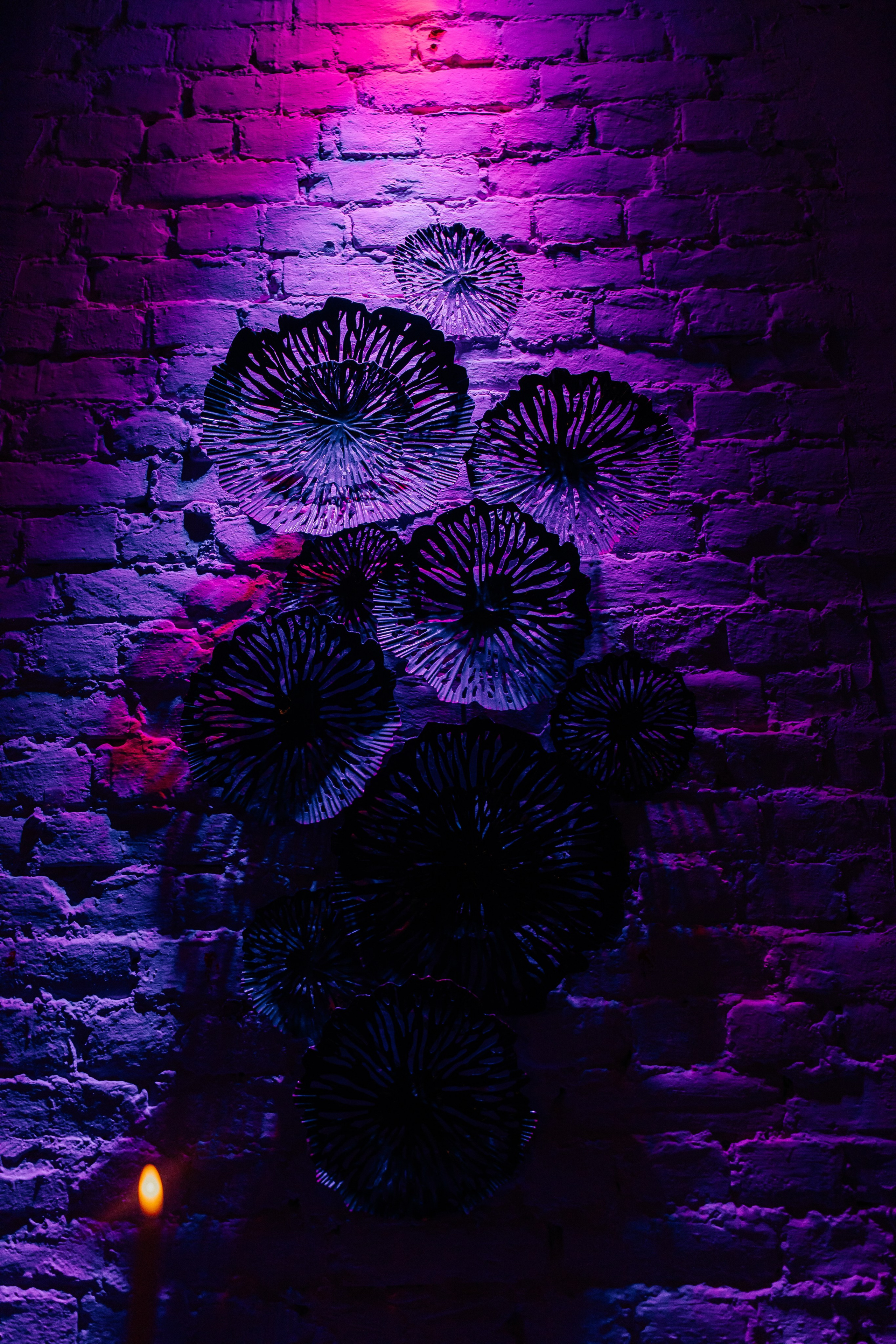 КОРПОРАТИВ В «COM.NATA». Фотограф в Санкт-Петербурге Виктория Безверхая