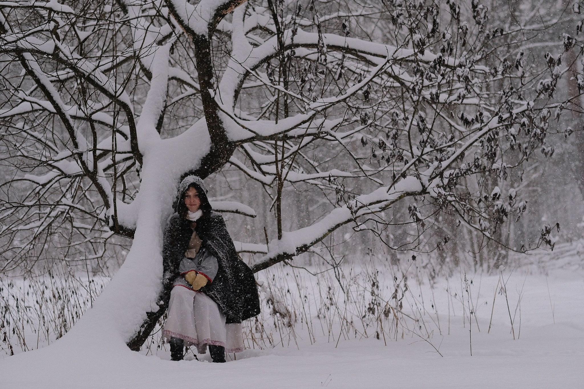 Герда, Лиса и их люди. Дмитрий Бречалов