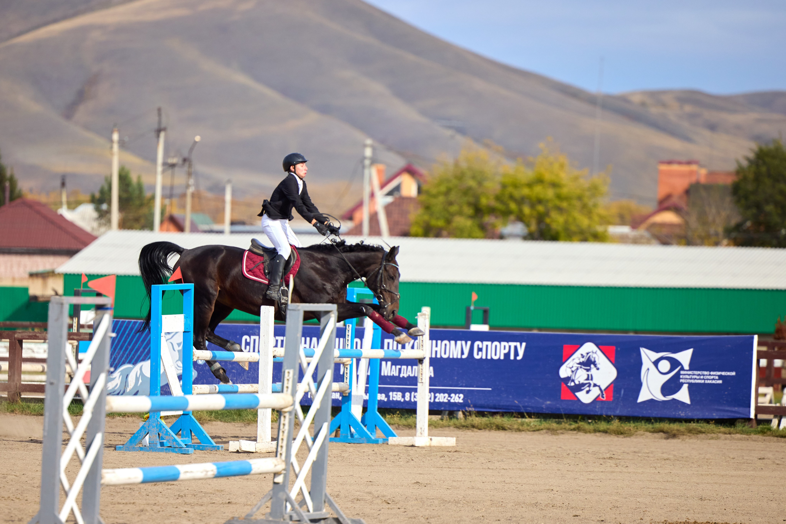 Конкур на Абаканском ипподроме. Ваши Истории. Фотограф/видеограф. Абакан