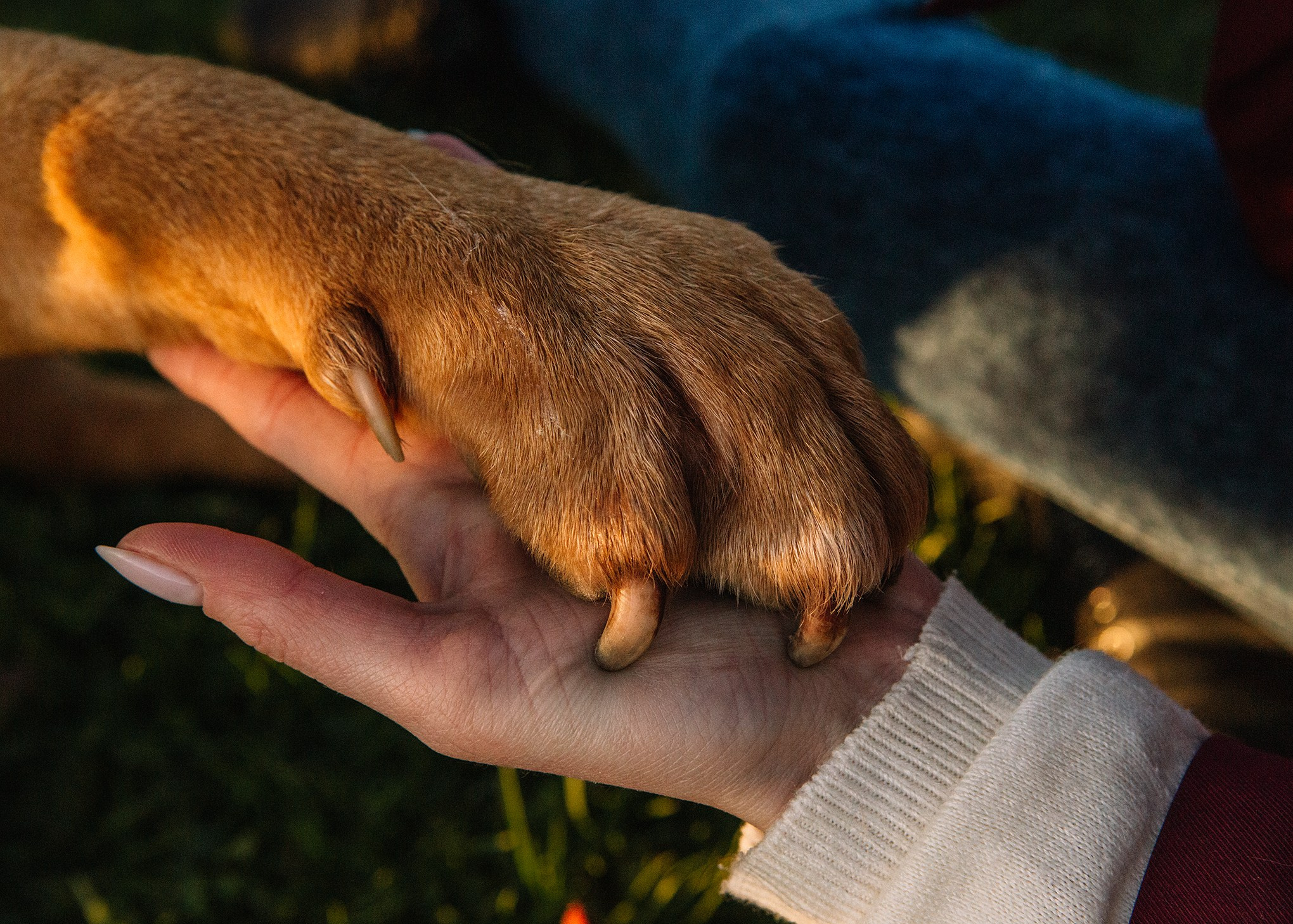 Юлия и Макс. Семейный и портретный фотограф в Санкт-Петербурге