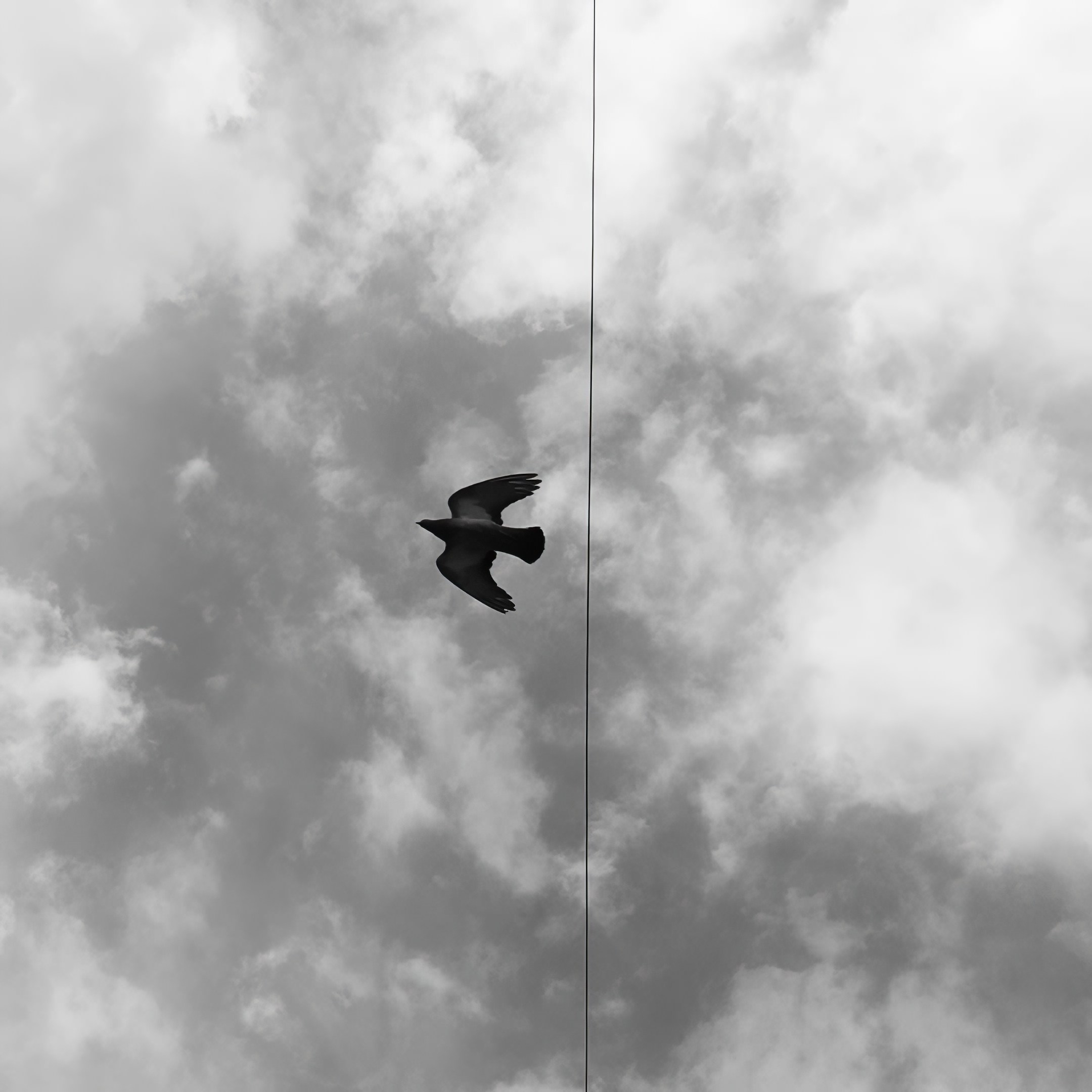 Мобильное. Дмитрий Ратихин. Видеограф и фотограф в Санкт-Петербурге и Москве