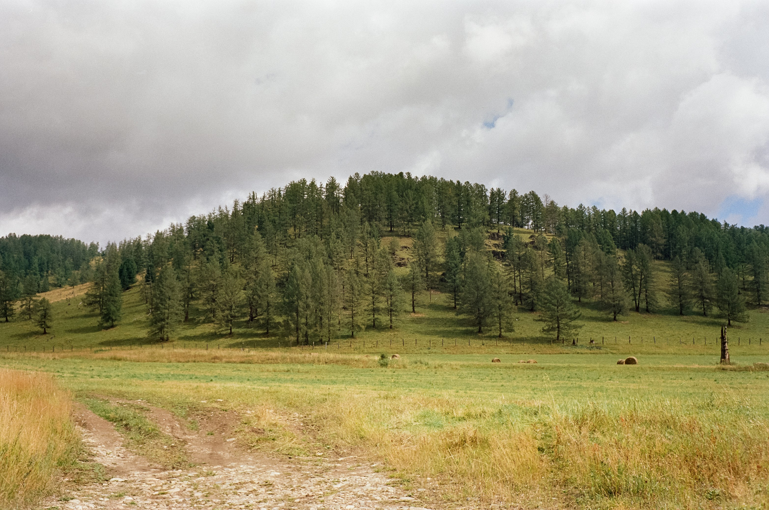 Трасса на Семинский перевал / 30 августа 2024 года