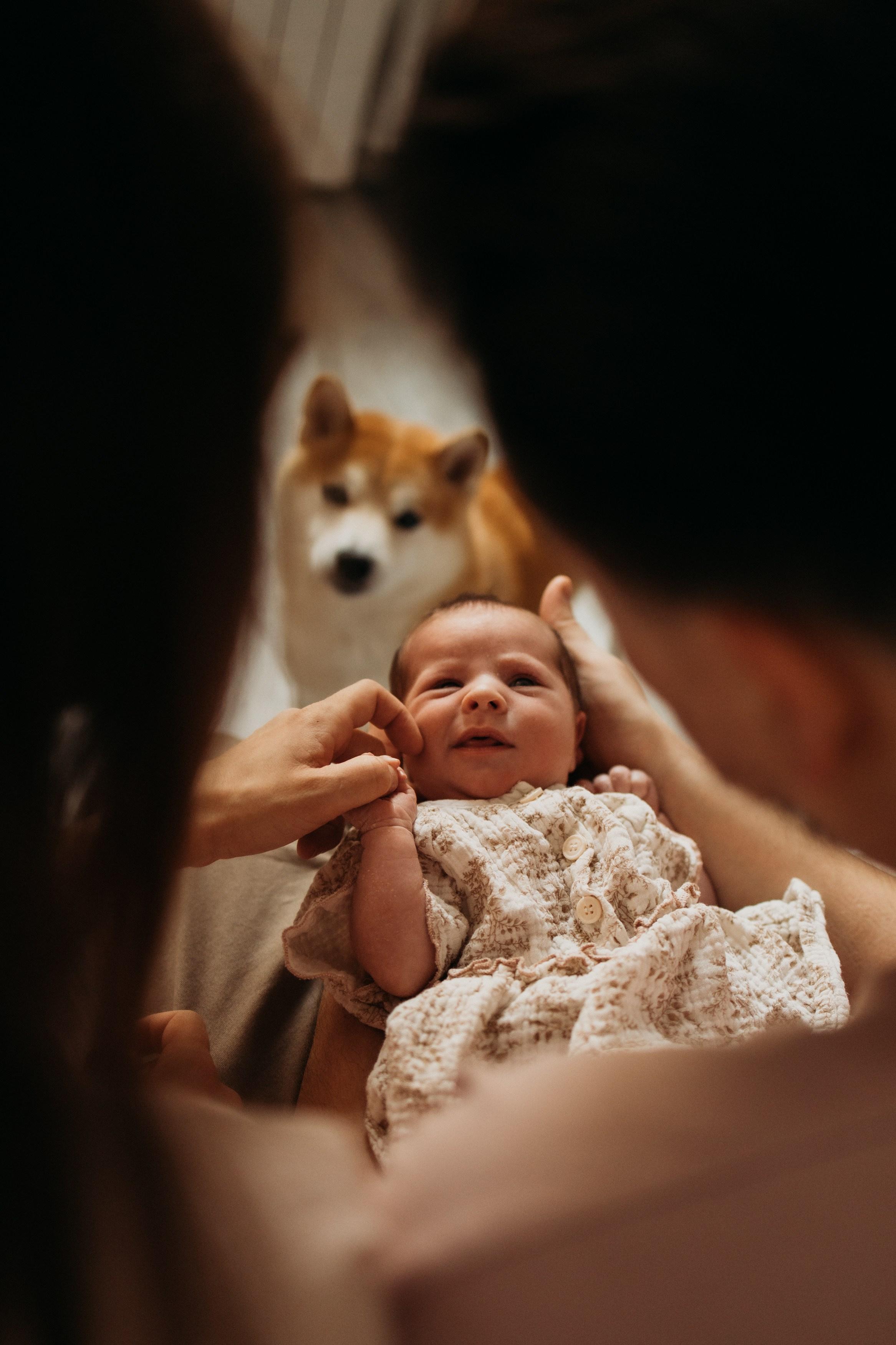 Малышка Луна. Семейный, ньюборн newborn фотограф, фотограф новорождённых в Санкт-Петербурге, Пушкине, Павловске. Павлова Анастасия