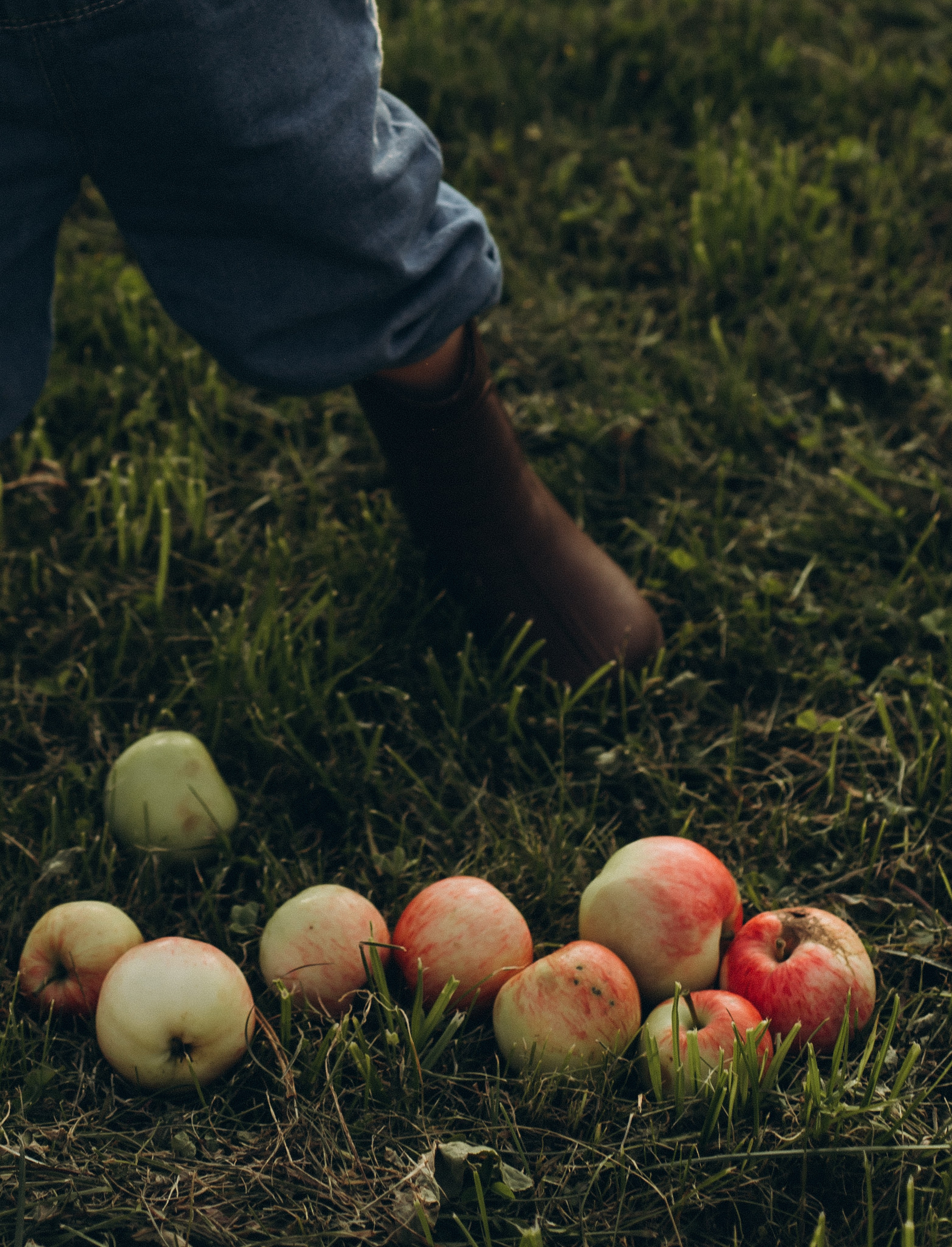 Морковная история 🥕🧡. Услуги