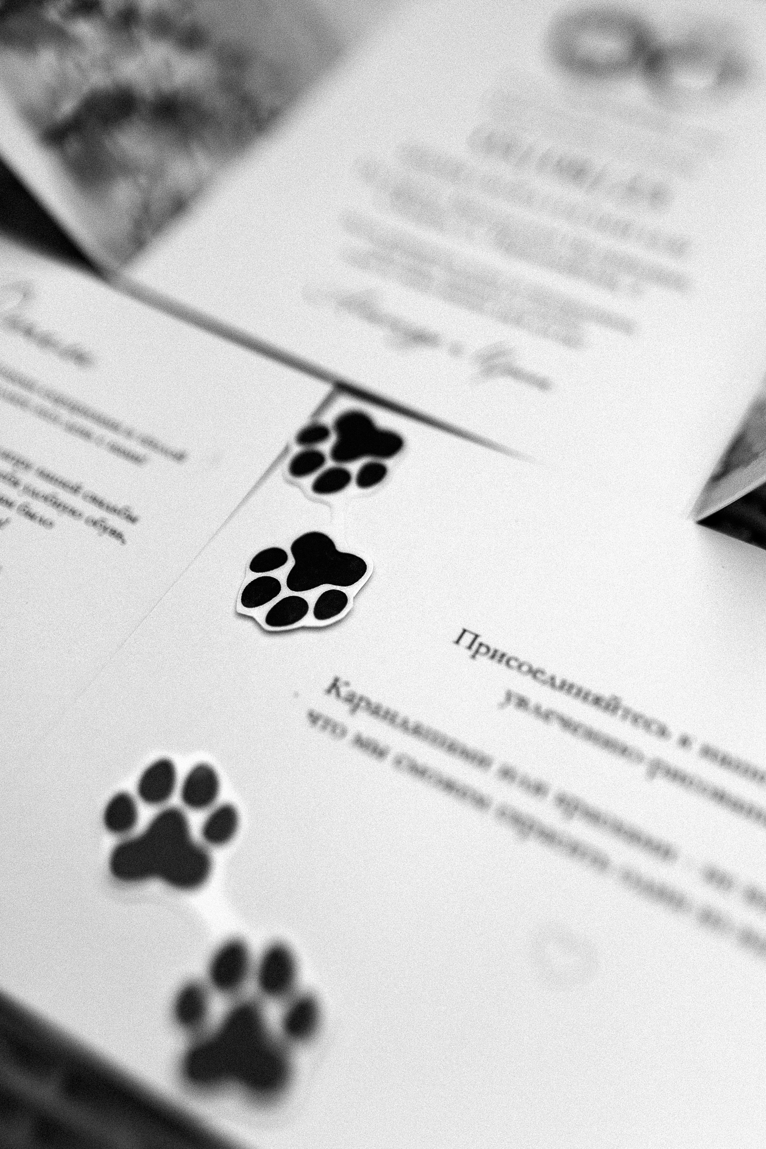 Побеждает любовь (Винодельня Пестиковых). Свадебный фотограф Ольга Ермакович