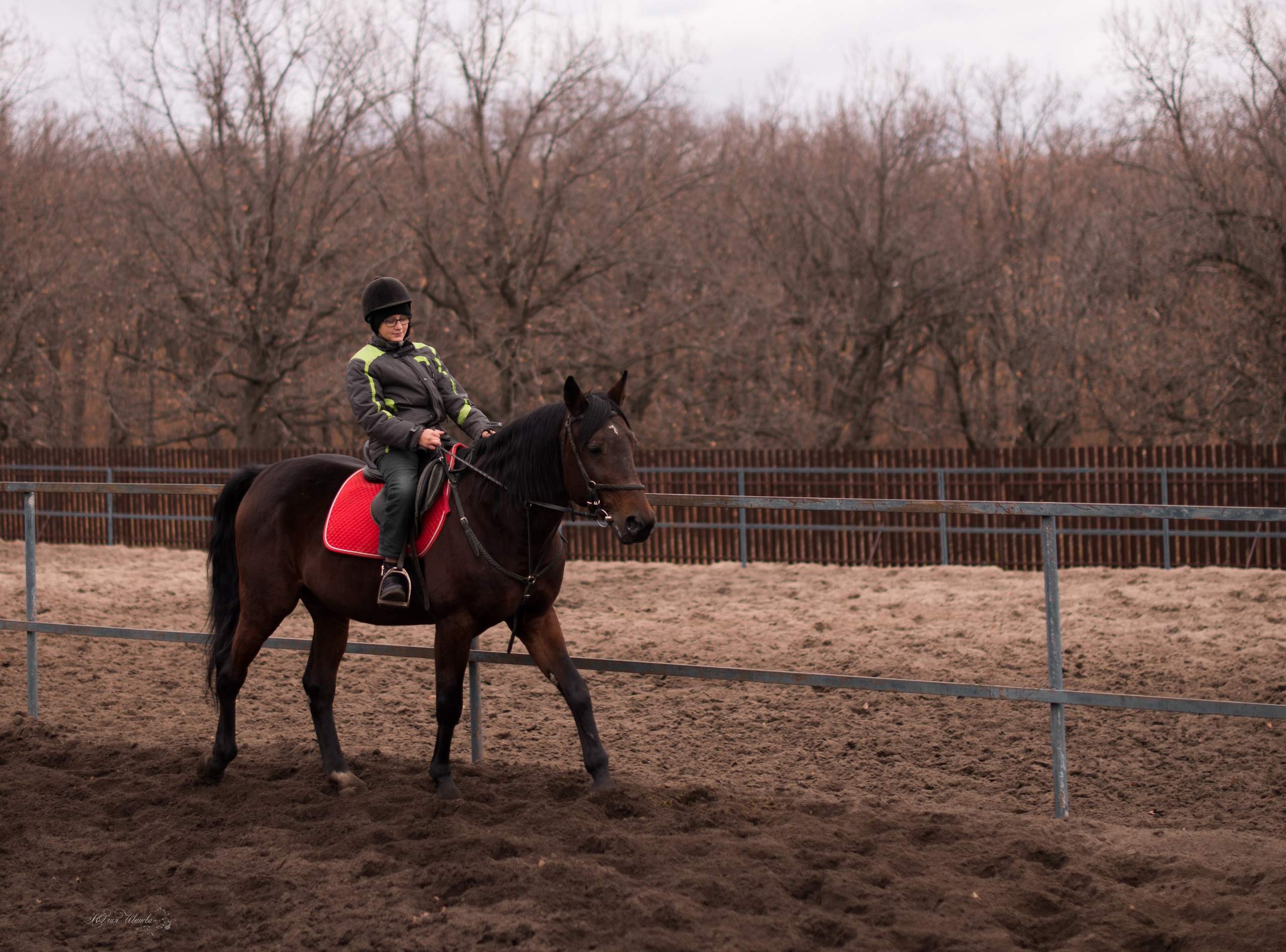 Тренировка с Гайдуком. Конный фотограф в Саратове Юлия Иванова