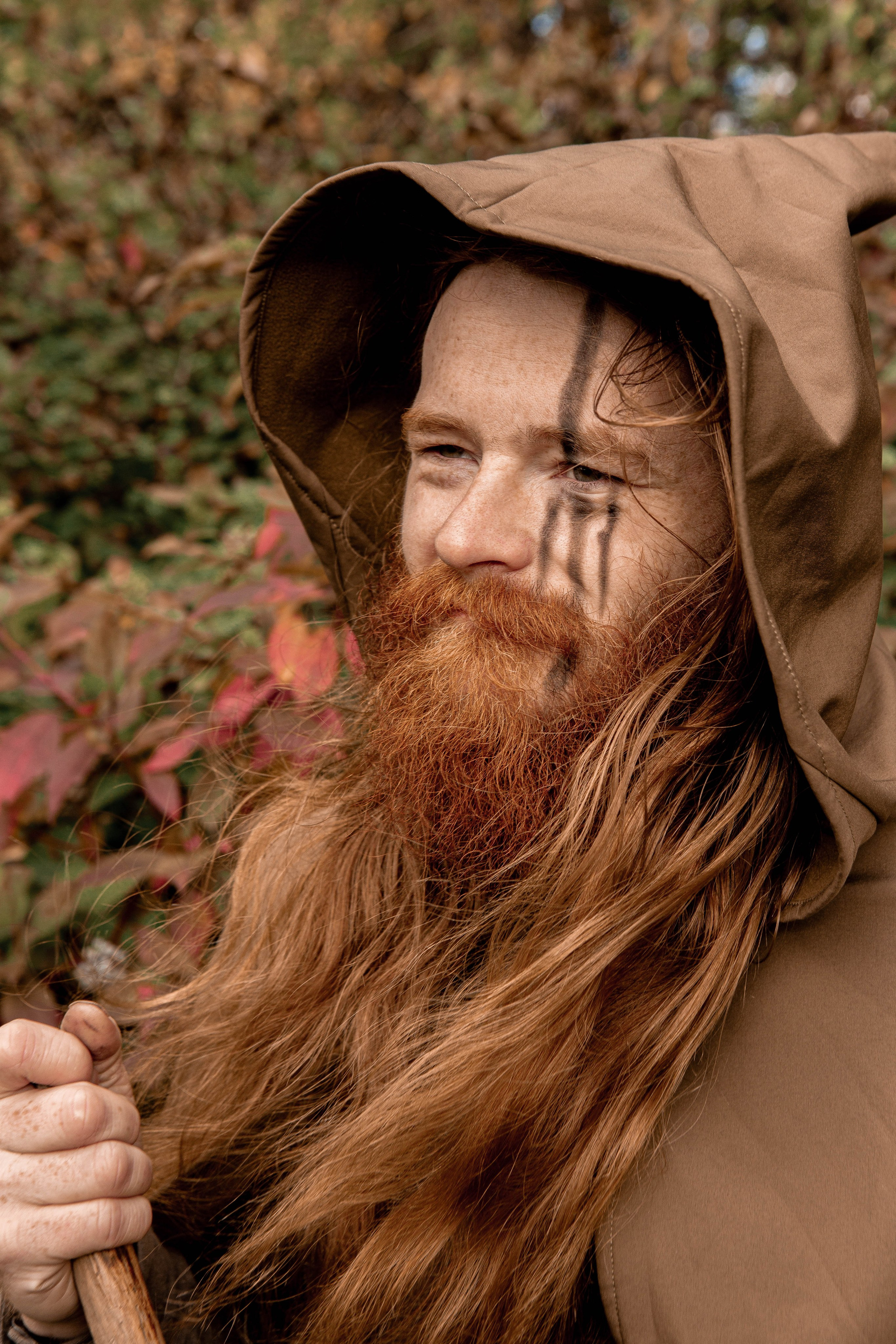 Волшебный лес. Фотограф Екатерина Голицына