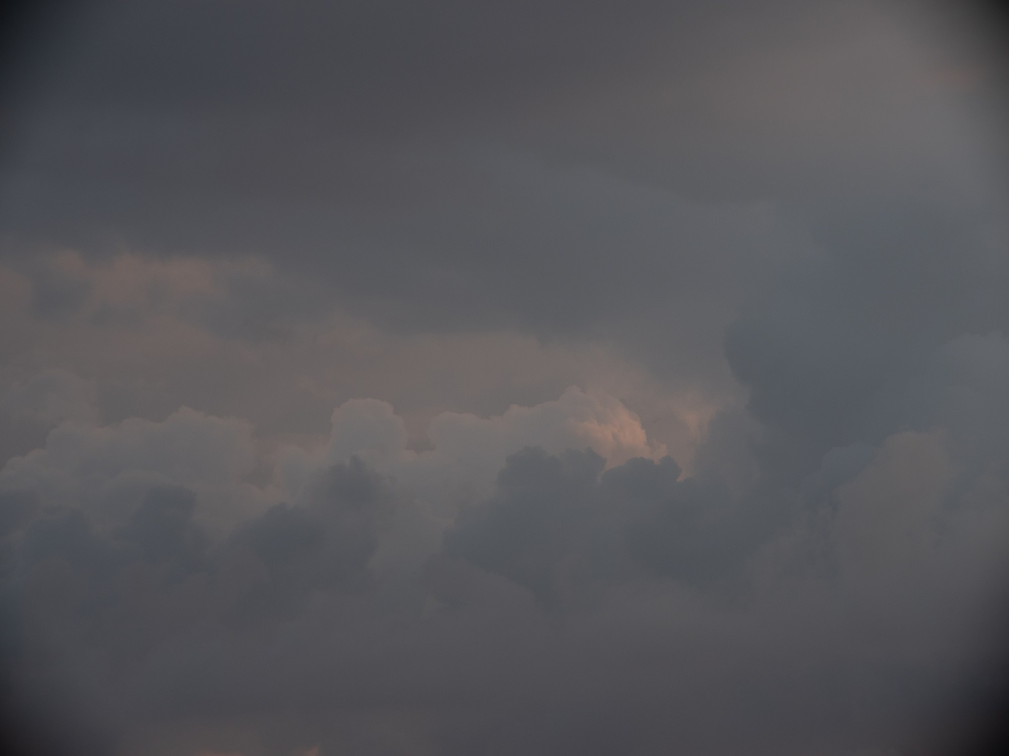 Formations. Пётр Антонов