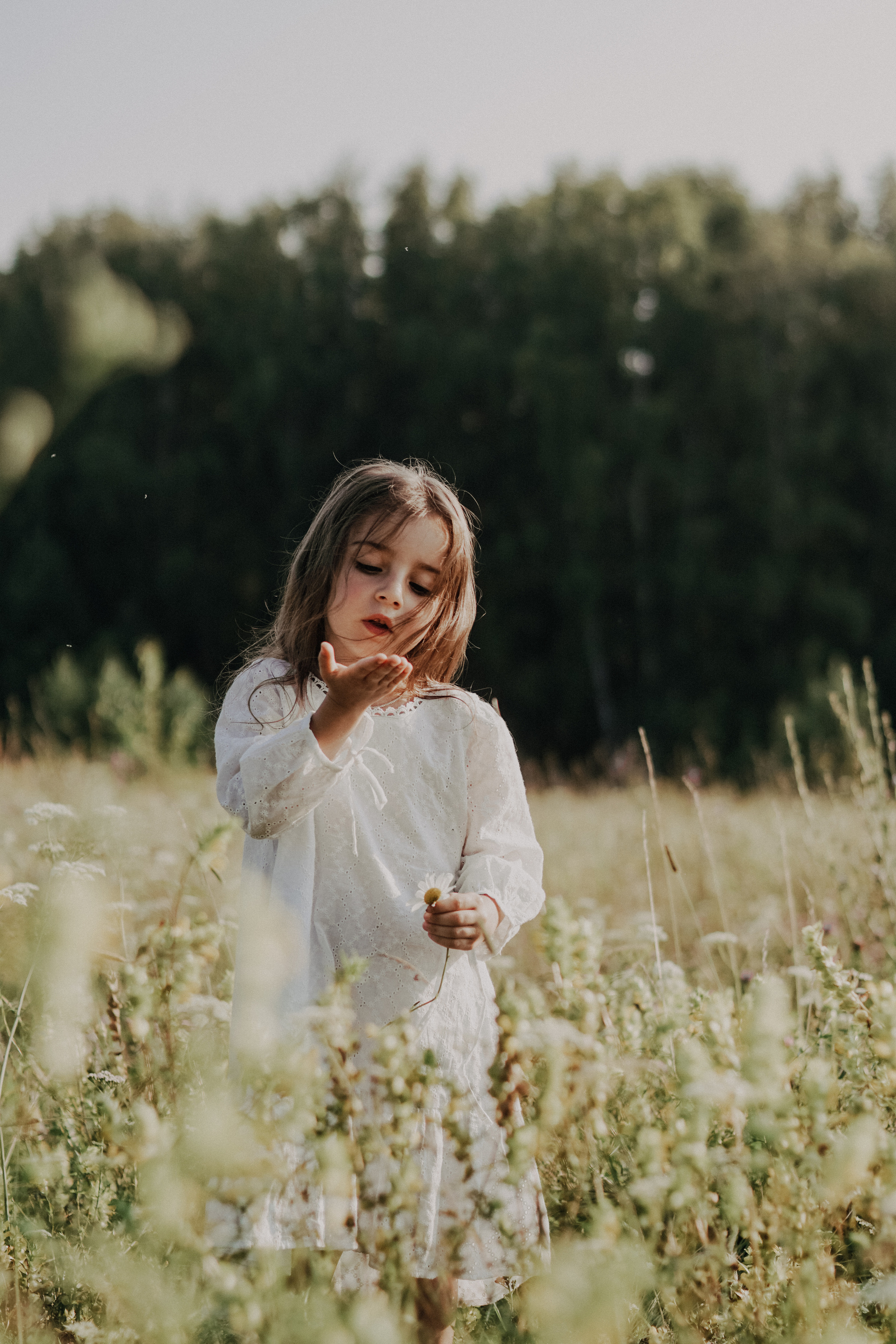 Даша, Паша и Кристина. Свадебный и семейный фотограф Томск| Юлия Филатова