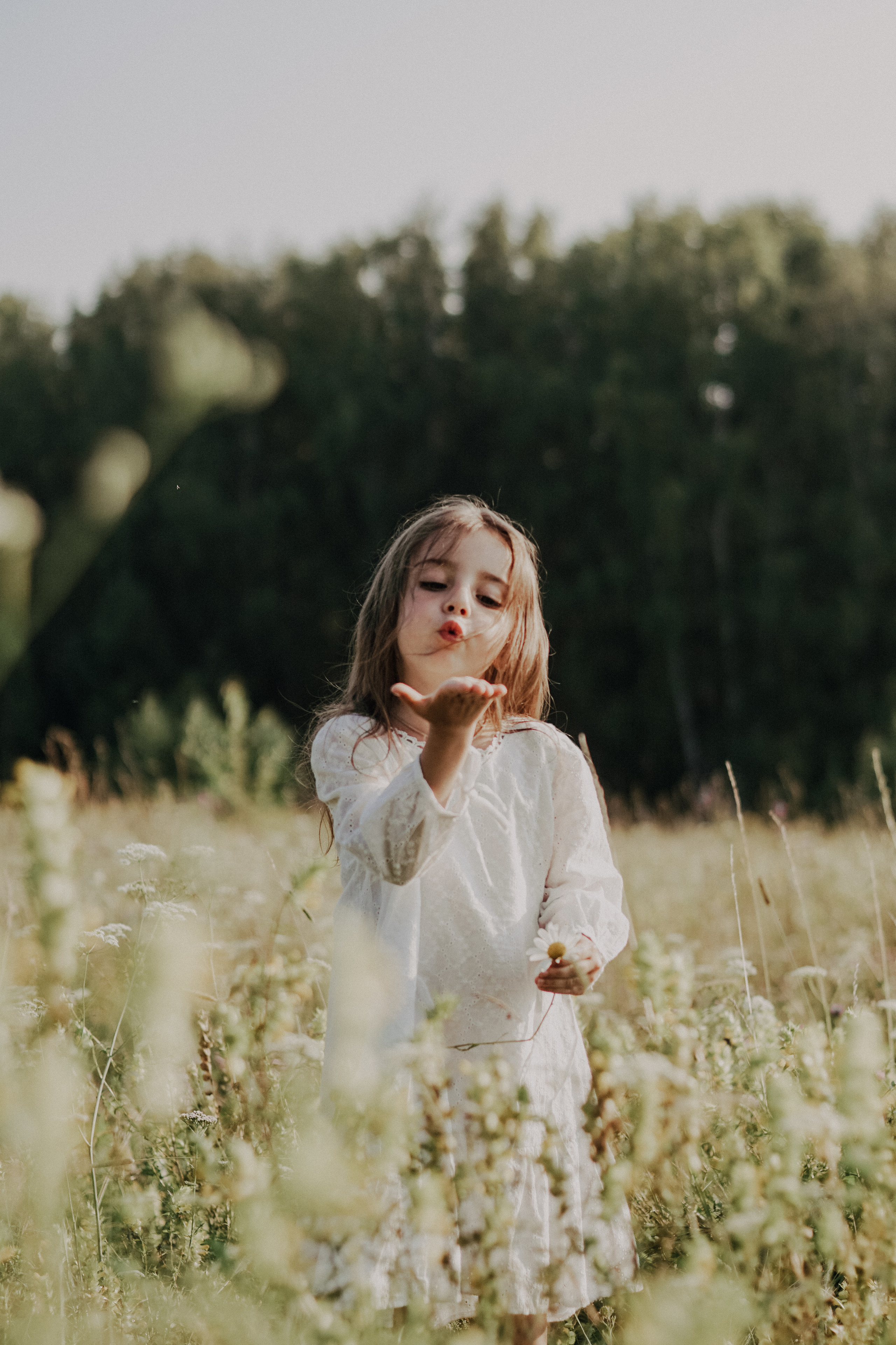 Даша, Паша и Кристина. Свадебный и семейный фотограф Томск| Юлия Филатова
