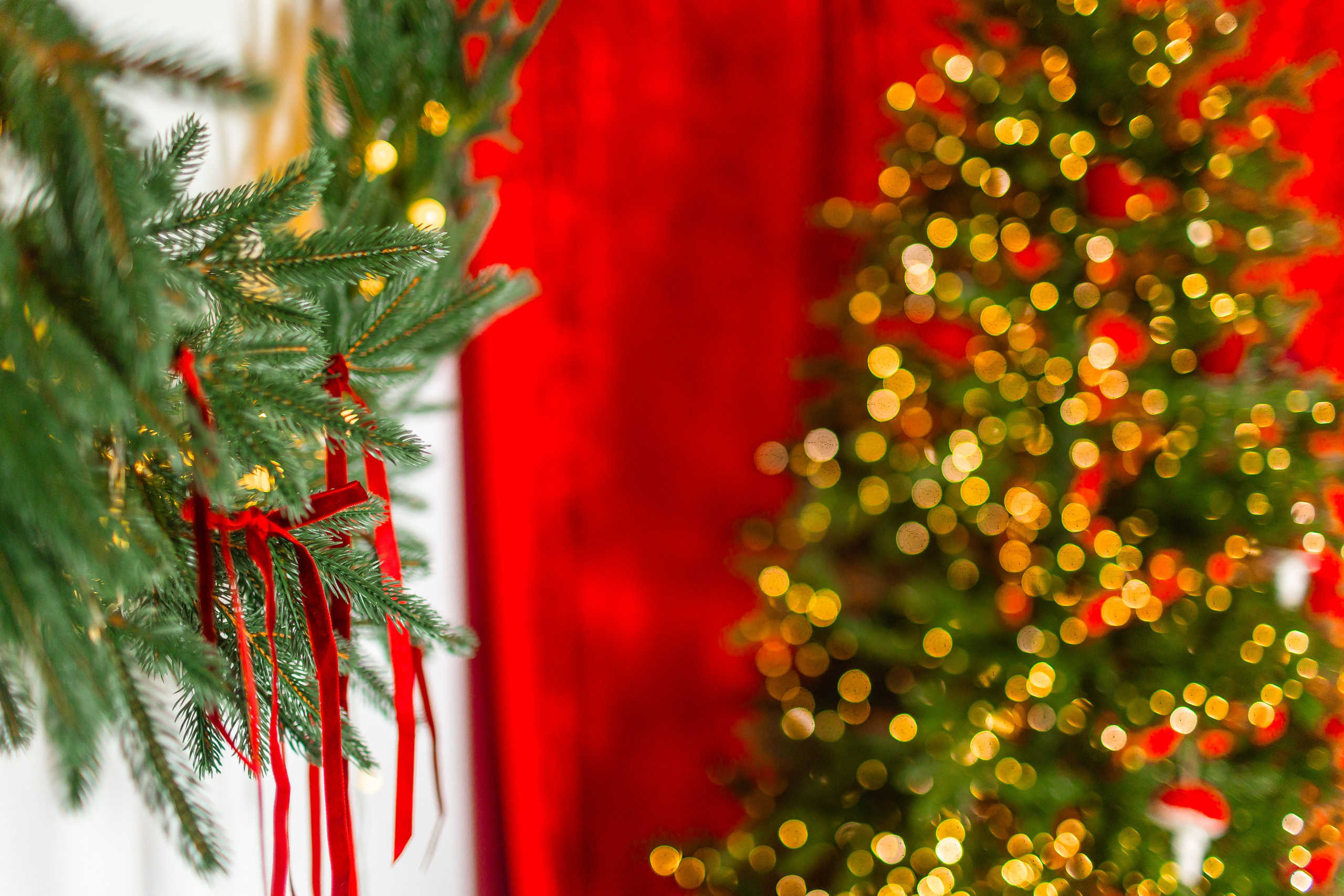 Новый год 2026. Фотограф Лодейное Поле Екатерина Герасимова в Санкт-Петербурге и Лен. области