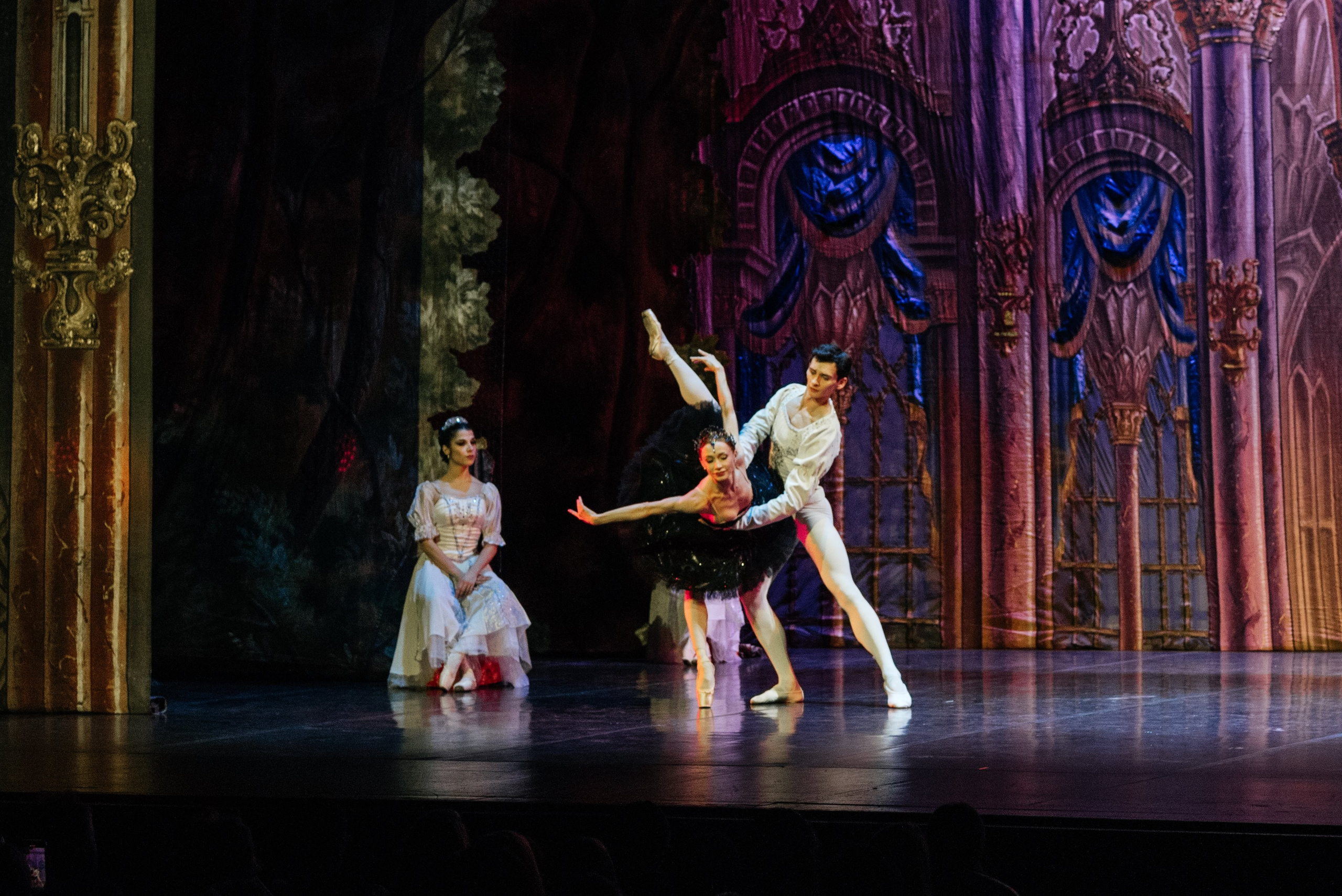 Ballet « Lac des Cygnes » à Genève. Photographe en Suisse et en Europe Anna Alekseenko