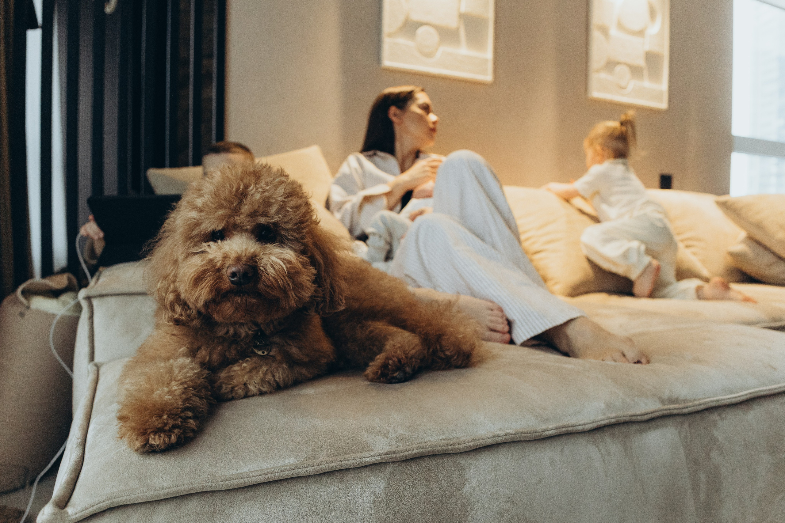 Familia de Nastya. Irina Krokhaleva. Fotógrafa de familias y parejas en Ekaterimburg, Rusia