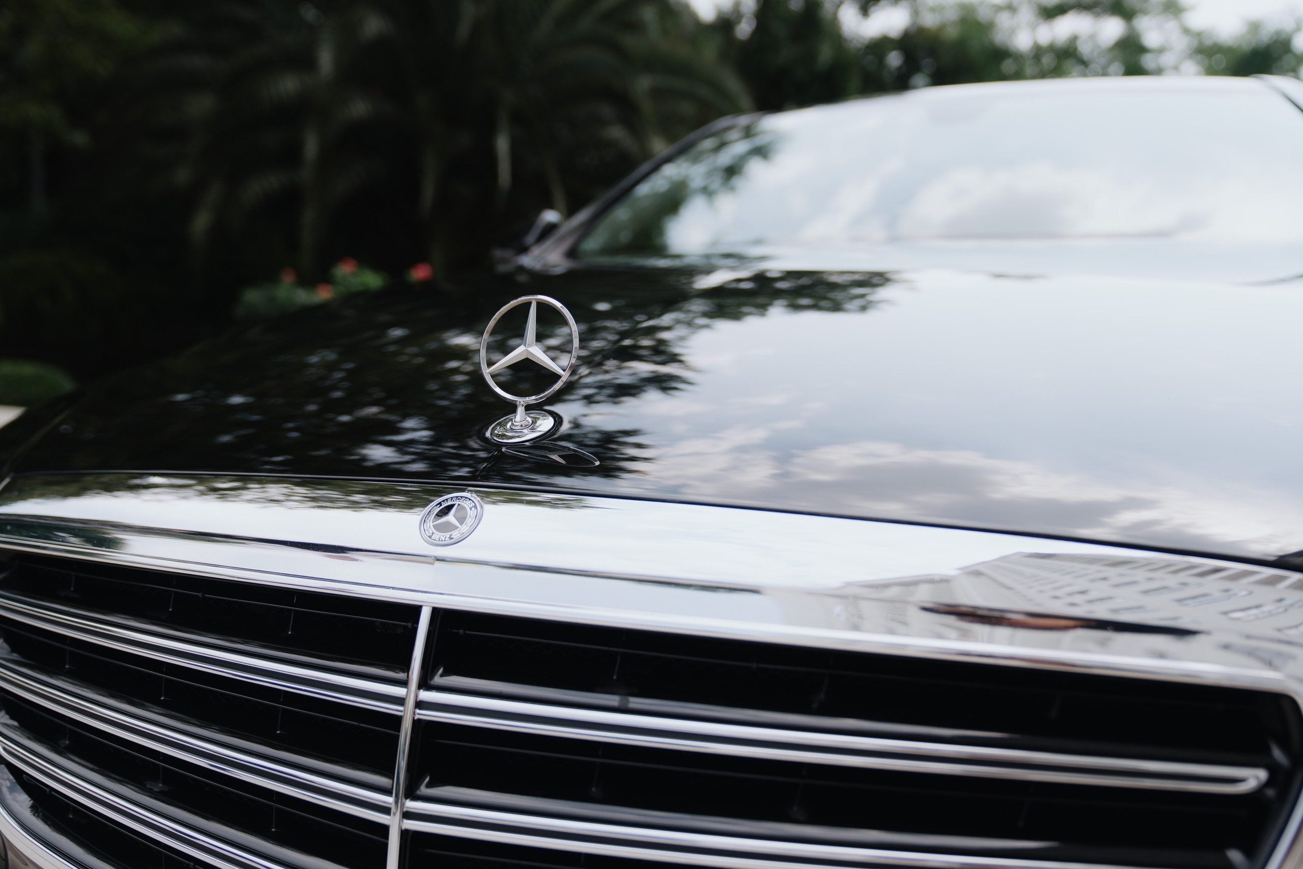 Мария & Александр — Свадебная съемка. Свадебный фотограф в Сочи и Адлере — Фотосессии на море и в горах | Виктор Рогулев