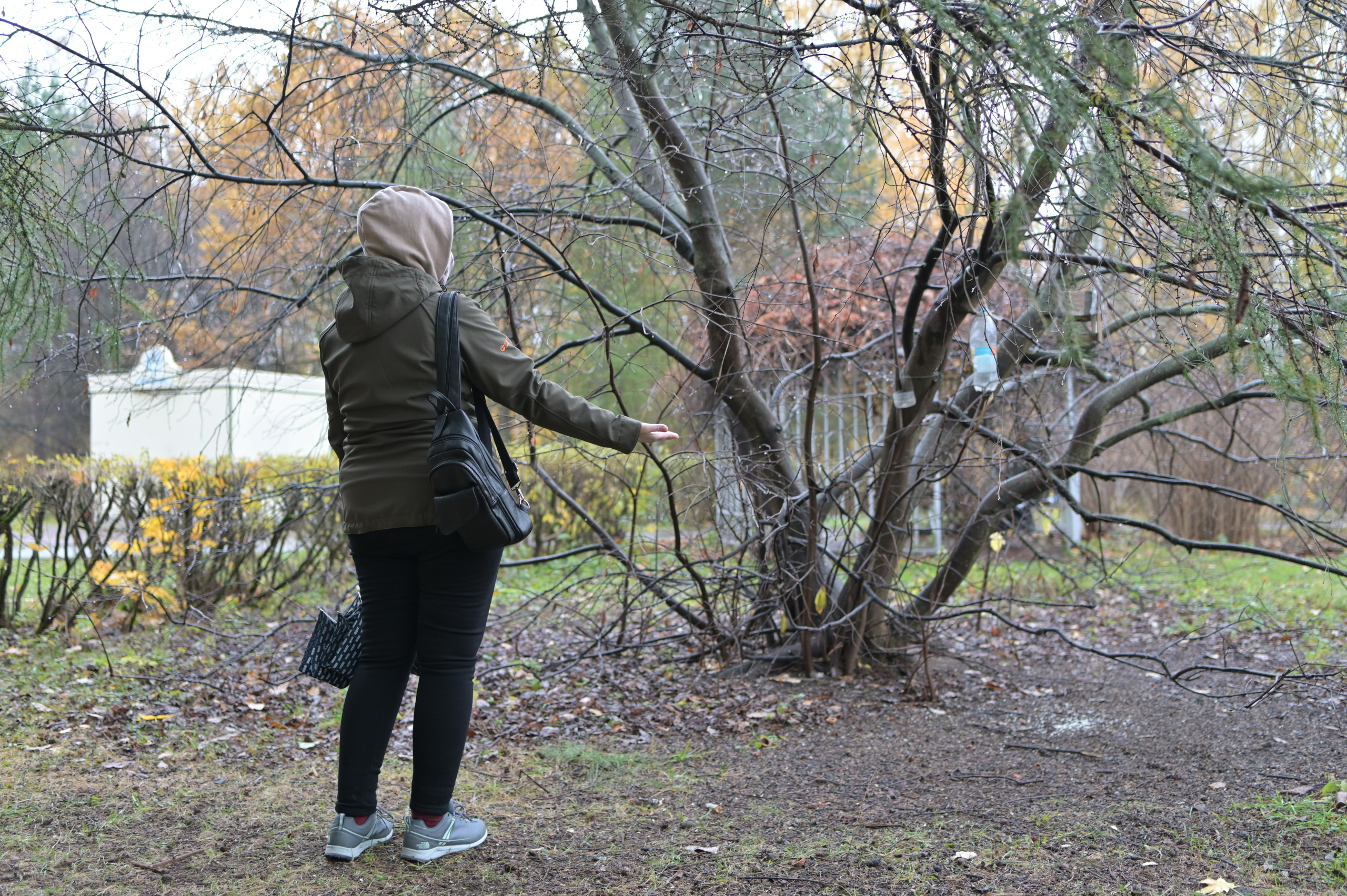 20241026 Сокольники. Дмитрий Ремизов. Фотография, как хобби