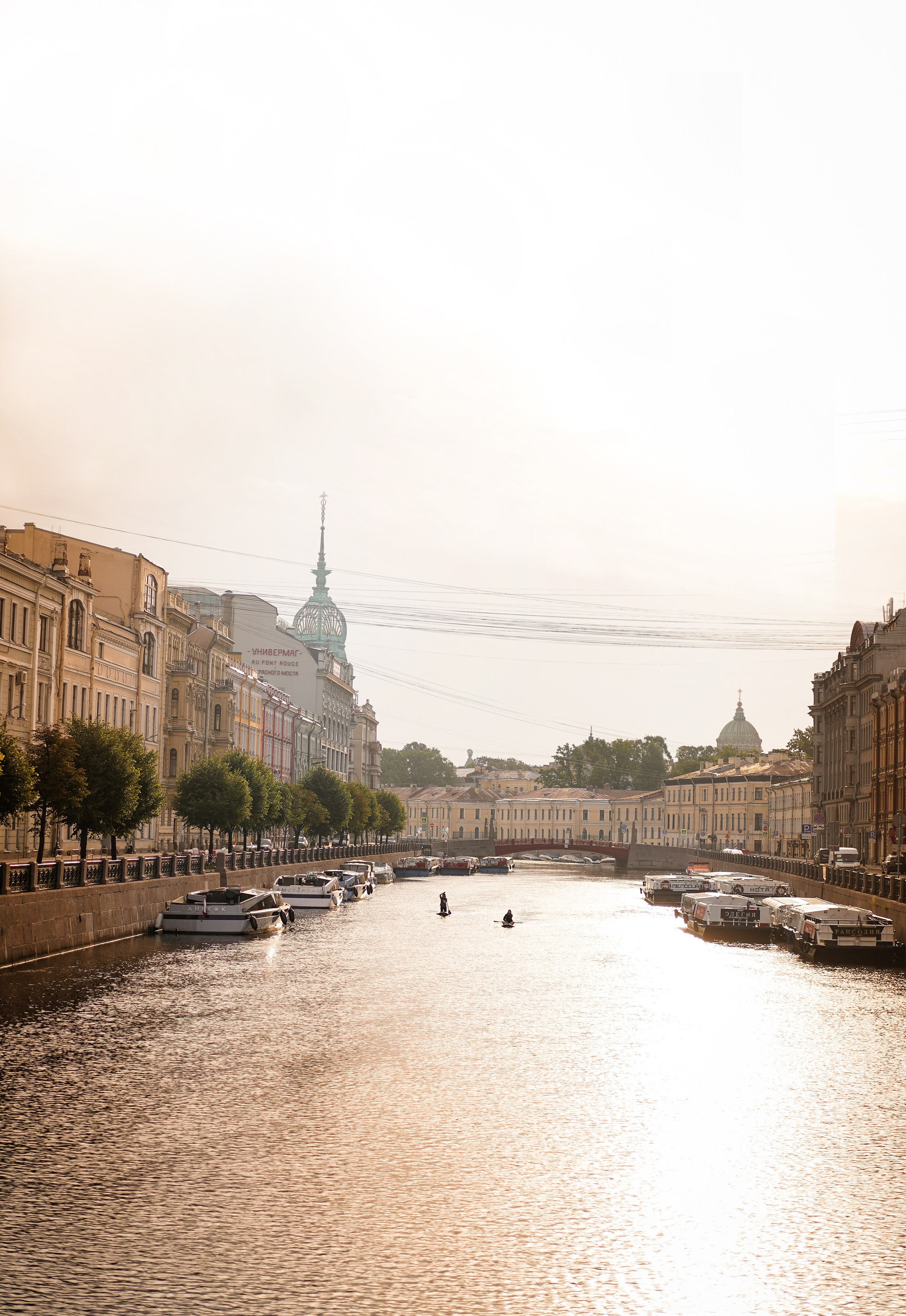 Анна и Мустик. Фотограф-анималист в Санкт-Петербурге Яна Мартынова