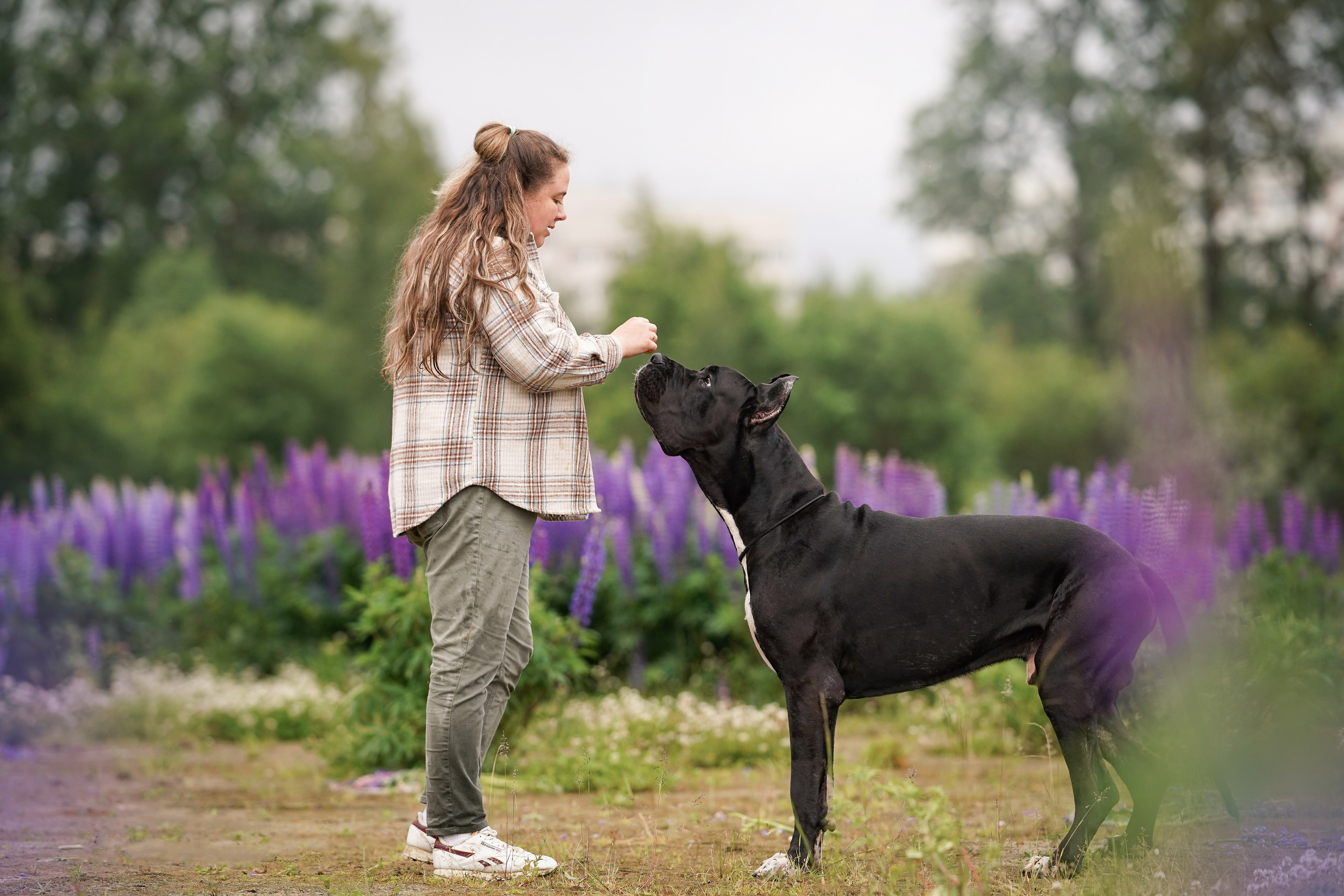 Вика и Трофей люпины. Фотограф-анималист в Санкт-Петербурге Яна Мартынова