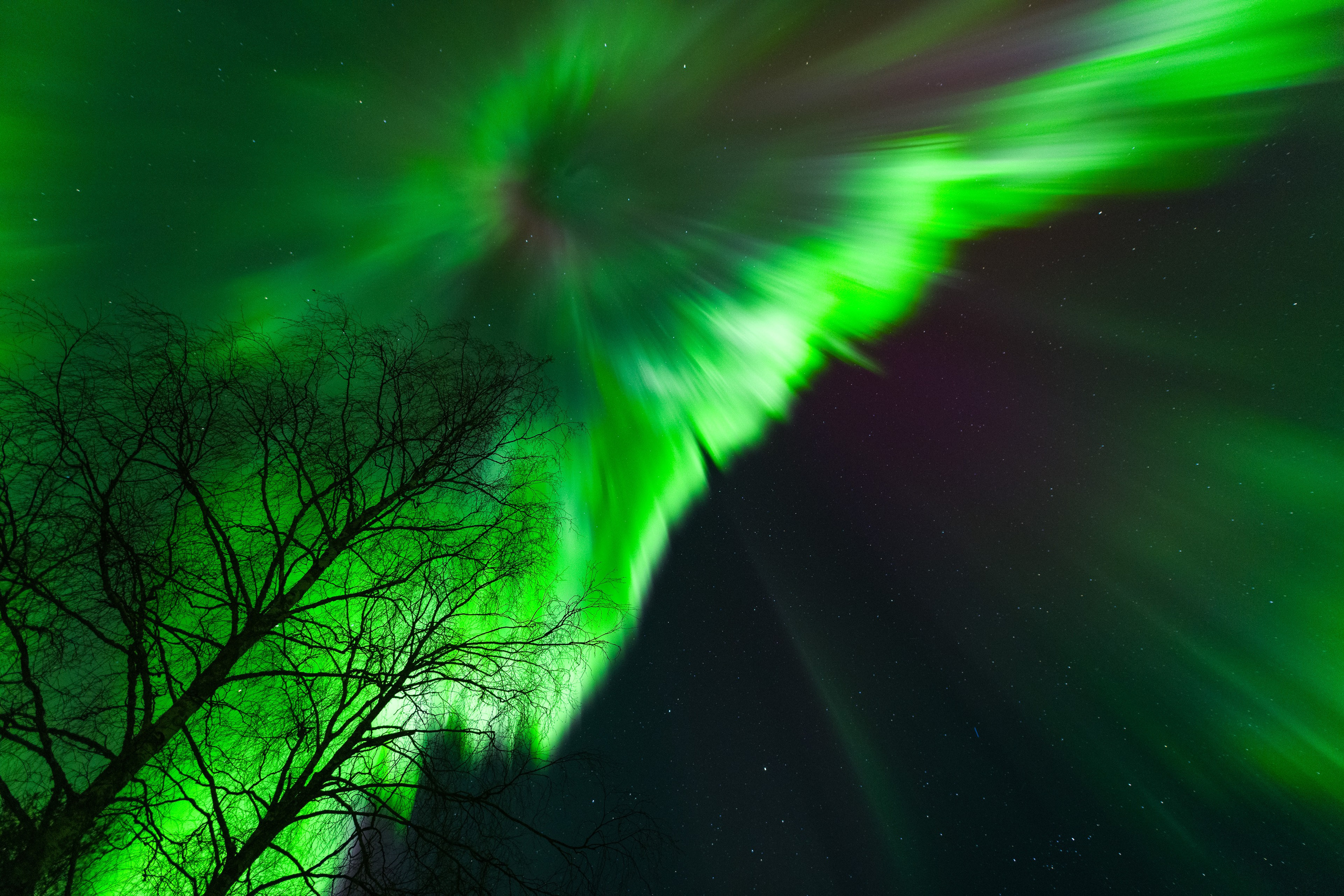 Полярное Сияние. Северные Ночи