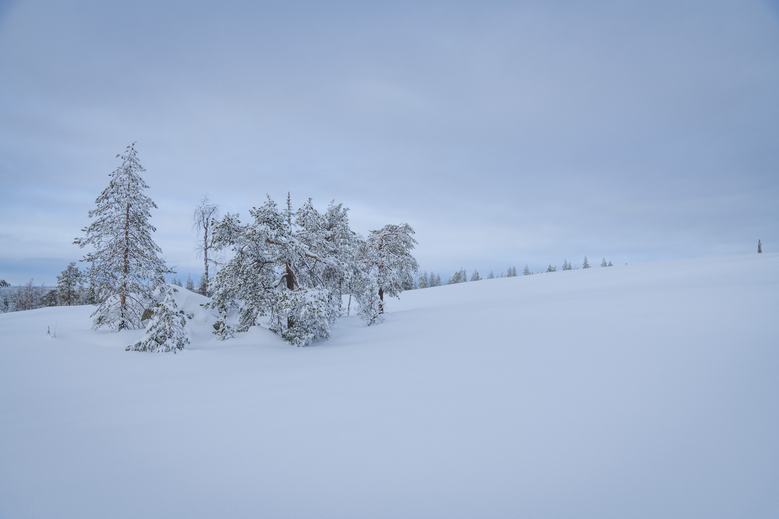 Зима. Северные Ночи