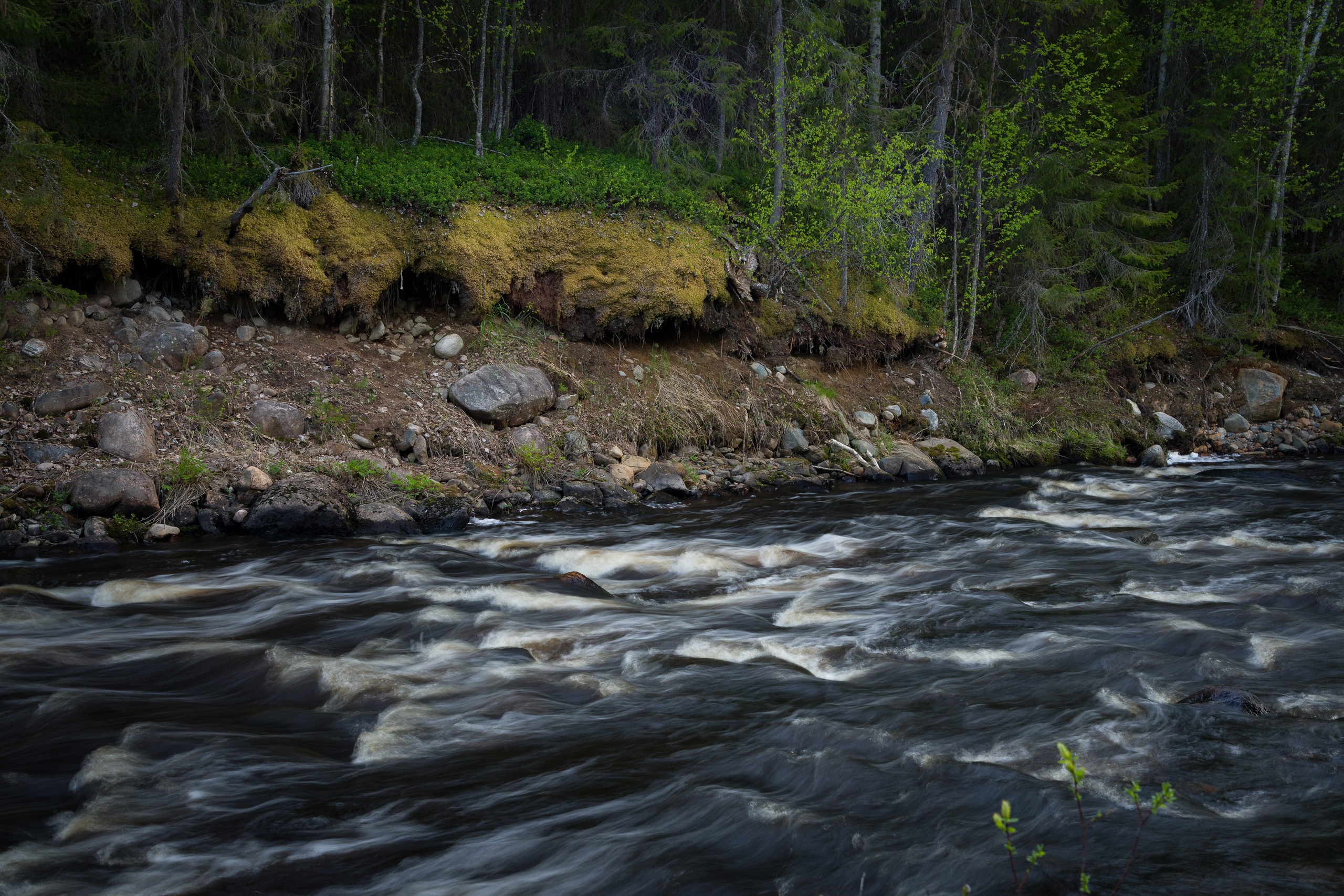 Весна. Северные Ночи