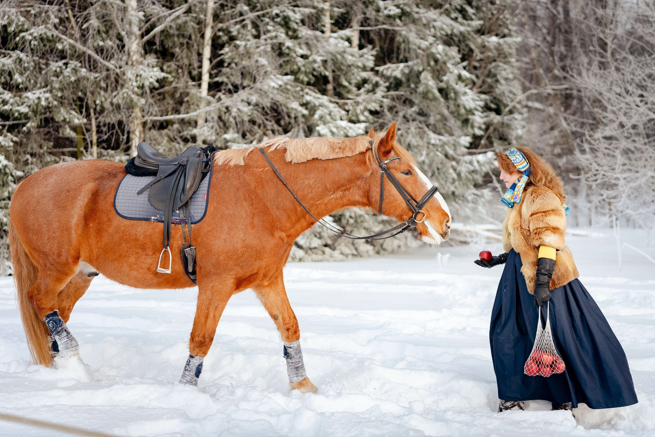 Ольга и Любимчик. Портретный и семейный фотограф в Москве/Видное