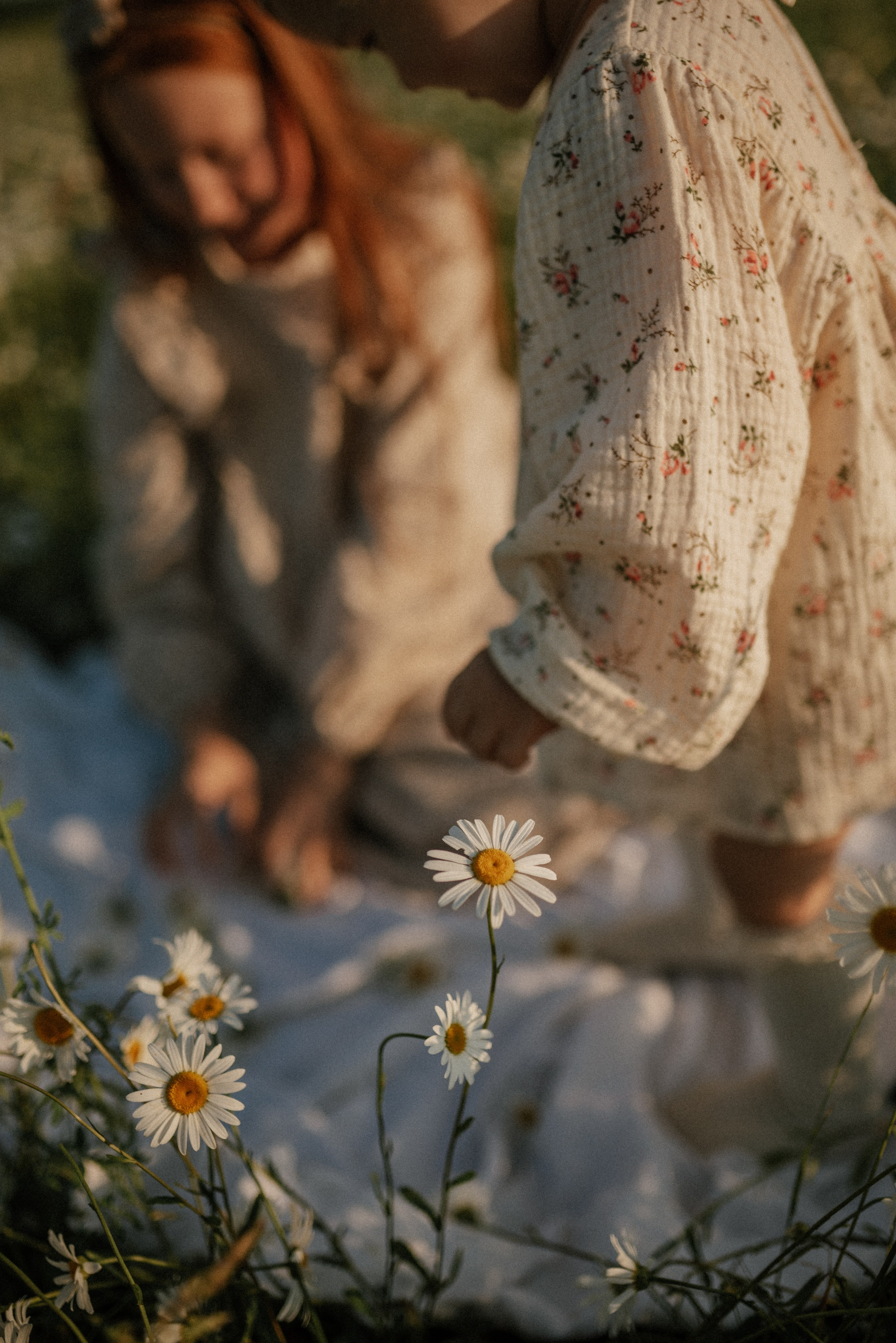 Ида, Мира и ромашки. Свадебный и семейный фотограф Кожевникова Лариса