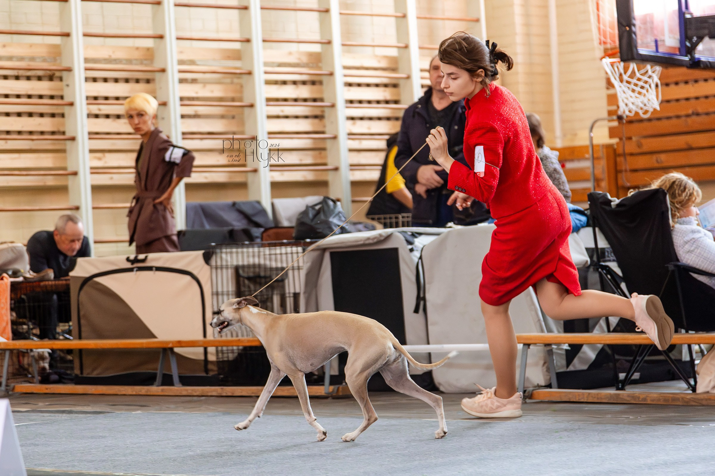 11 августа 2024, Выставка РКФ, г. Ижевск. Htykk_photo