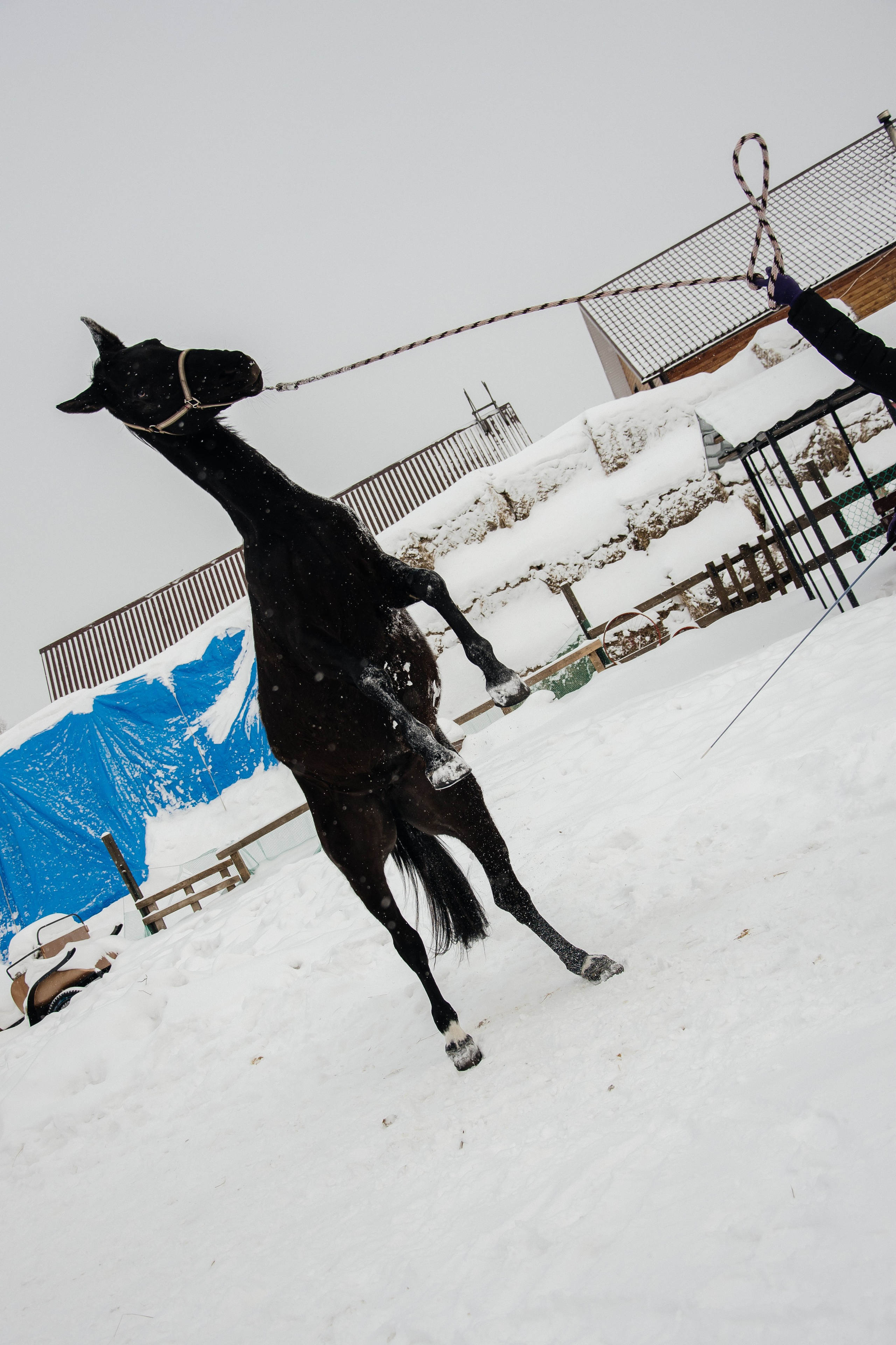 Детская прогулка. Фотограф на все случаи