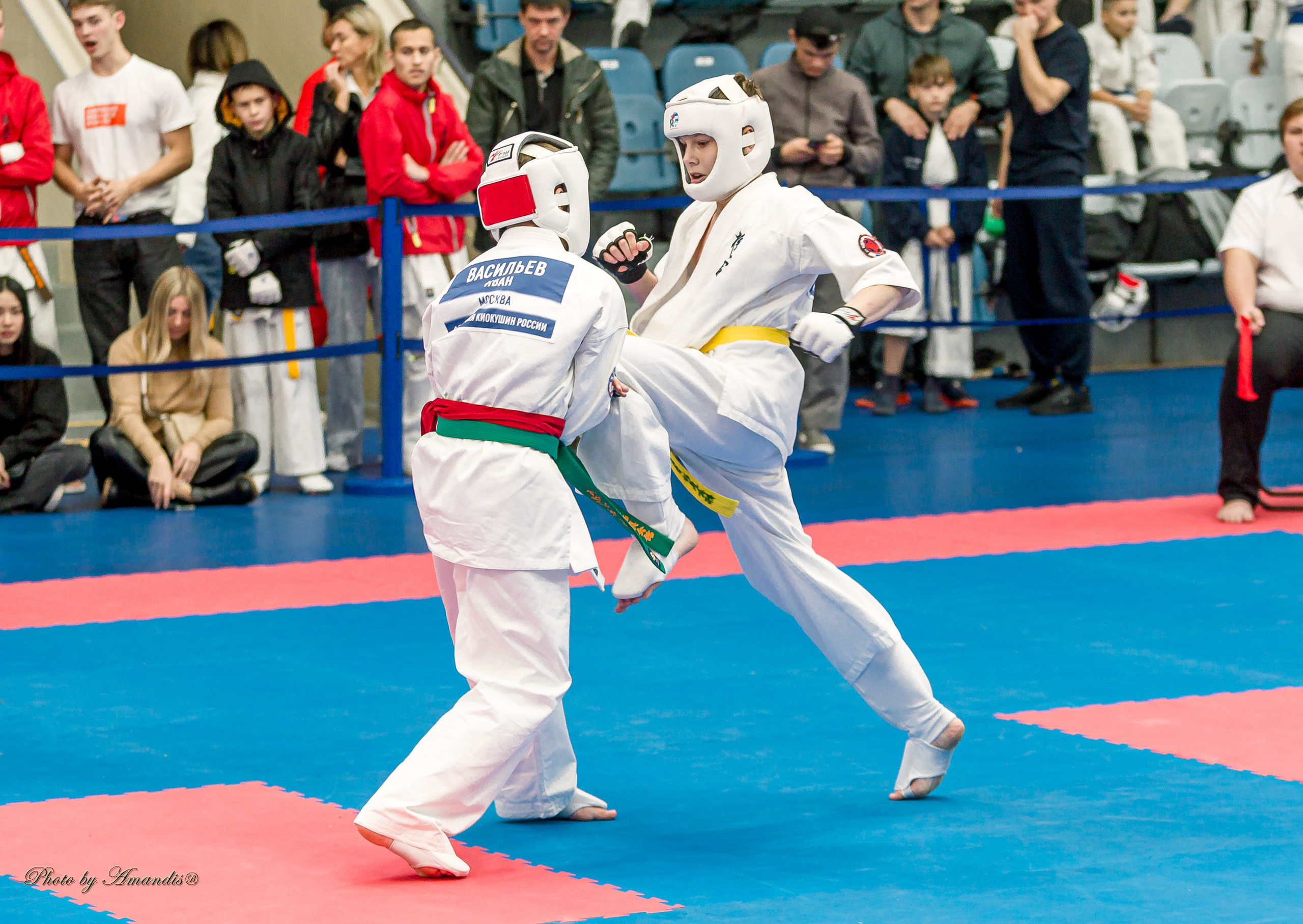 Чемпионат по Киокушинкай Центрального Федерального округа. Репортажная съемка в Москве и области. Анималистика