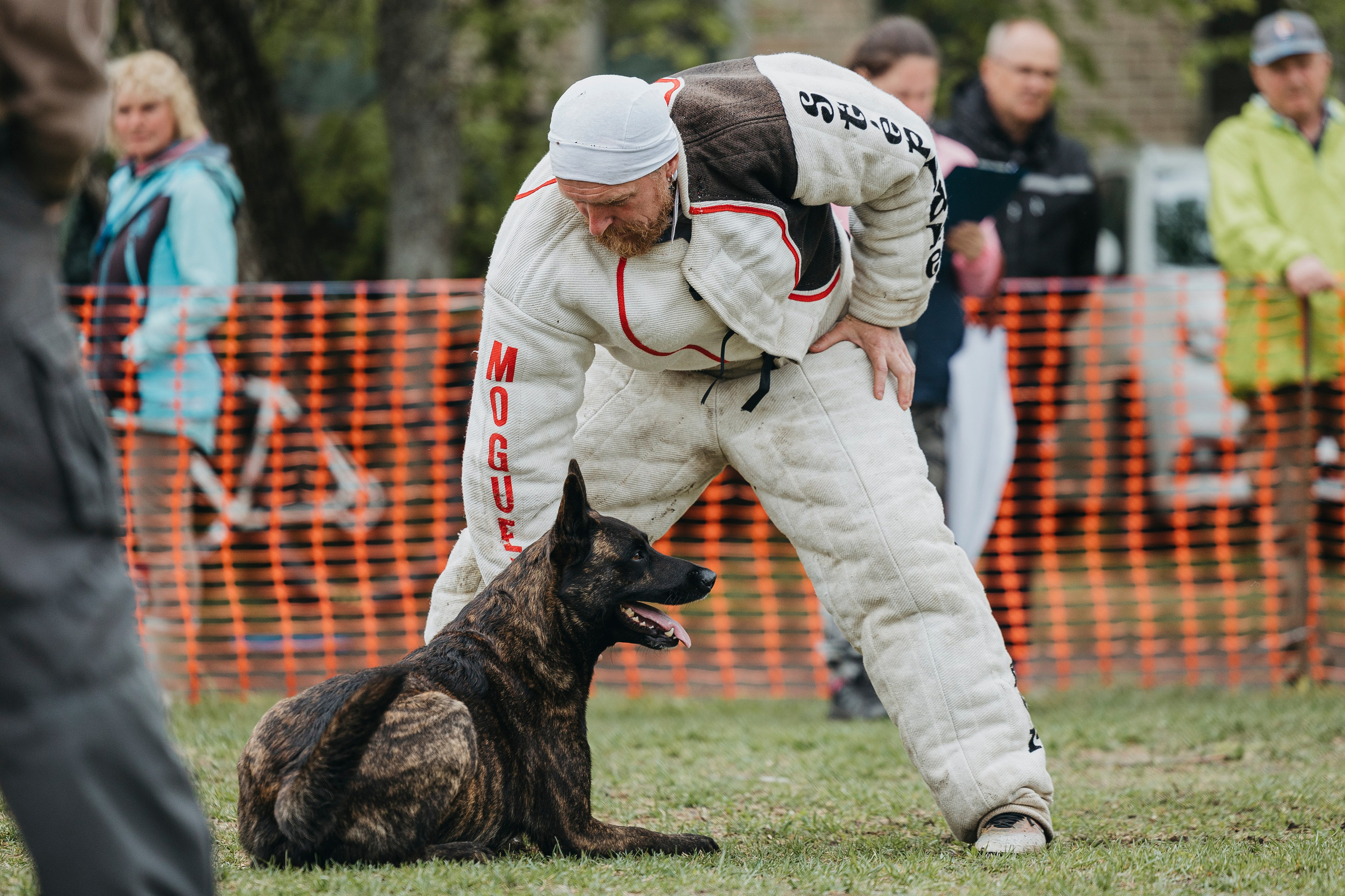 26.05.25 г. Пушкин квалификационные соревнования. Фотограф-анималист Анна Маринич