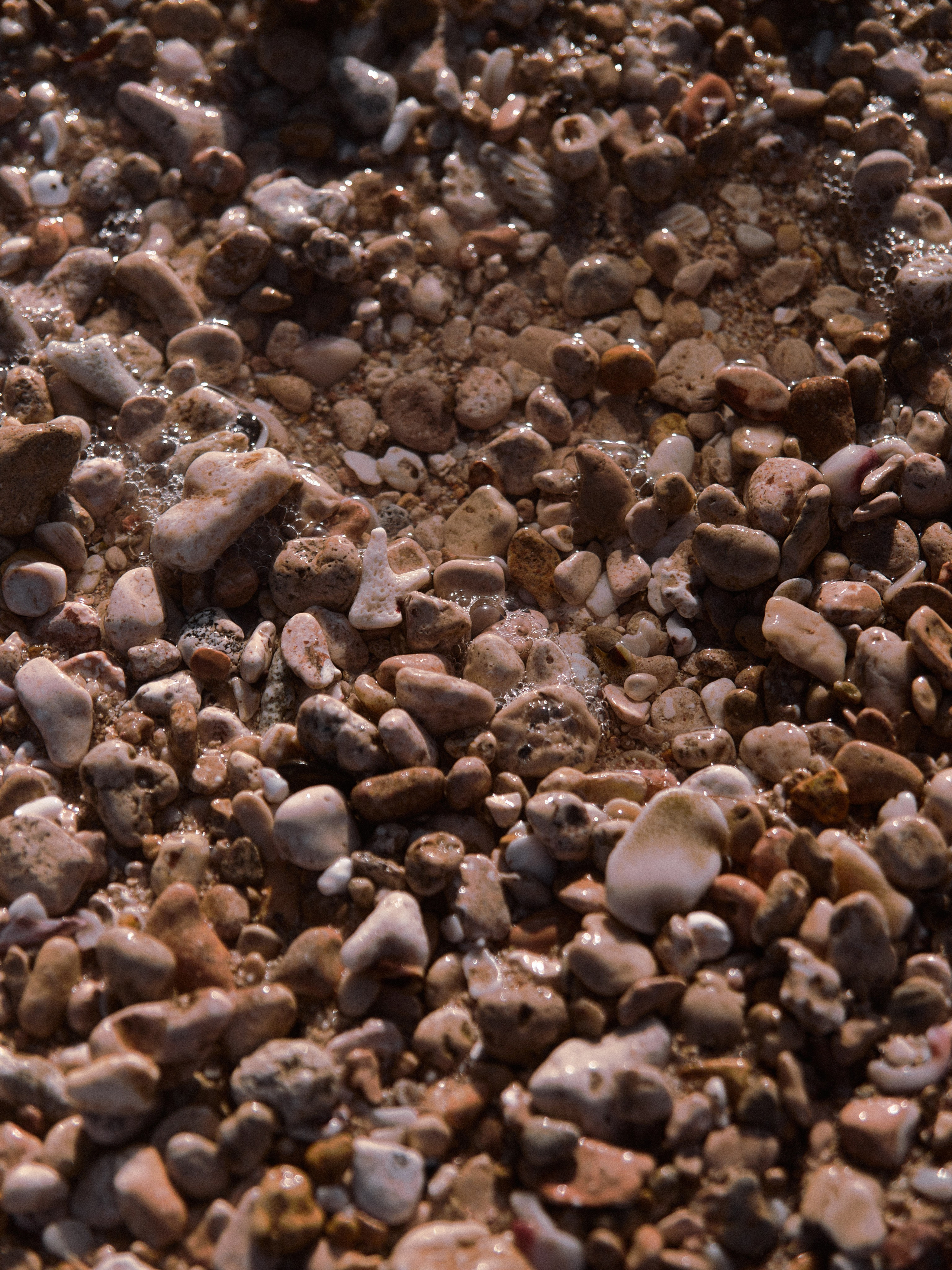 Природа. Jorgis Talè — photographer, kind person, teacher of arts and other mag