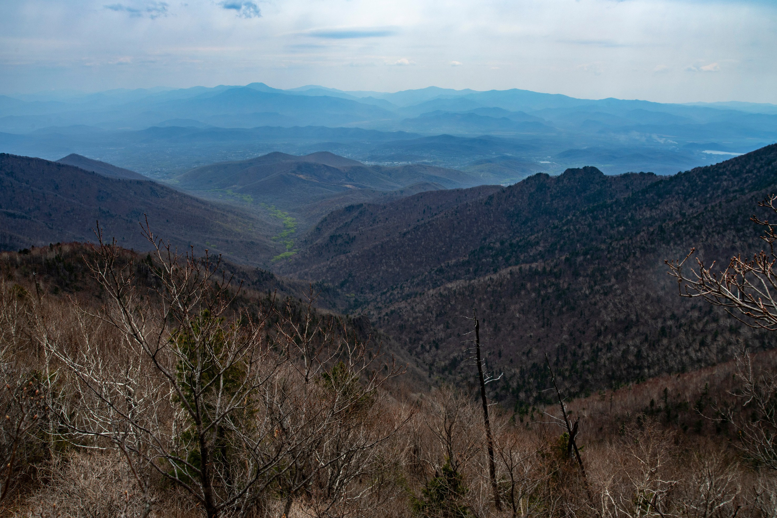 Природа Хабаровского края. Команда фотографов Кристины Ивановой