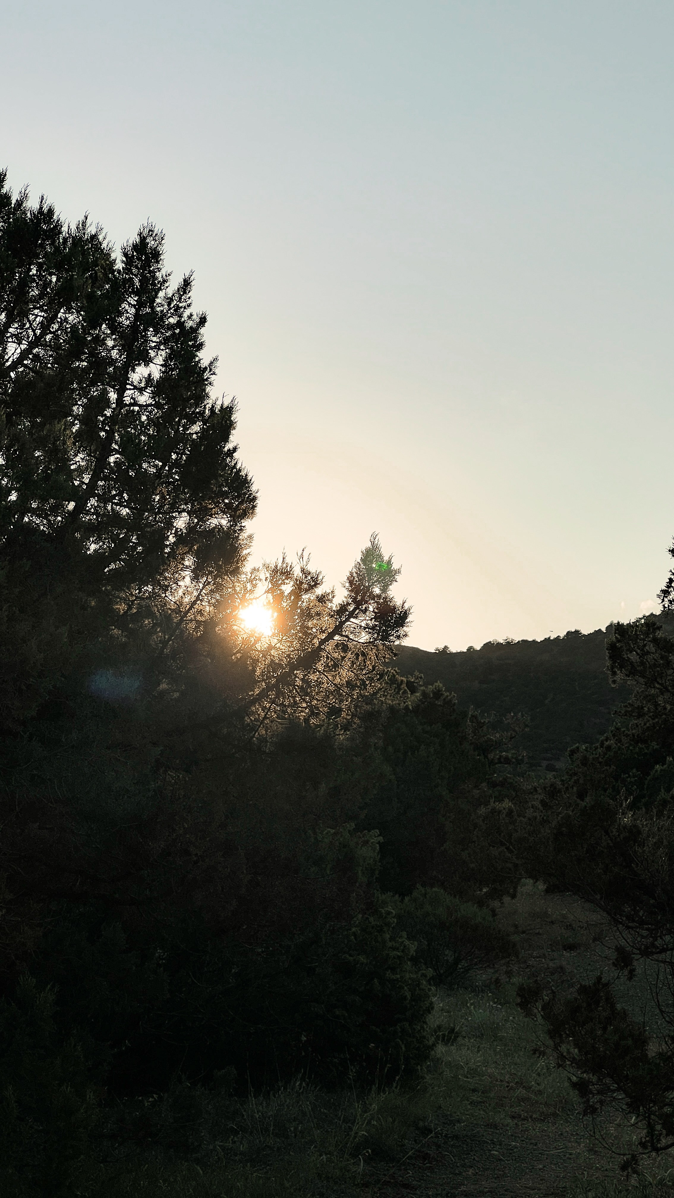Пресеты. Евгения Волошина Фотограф Москва / Белгород